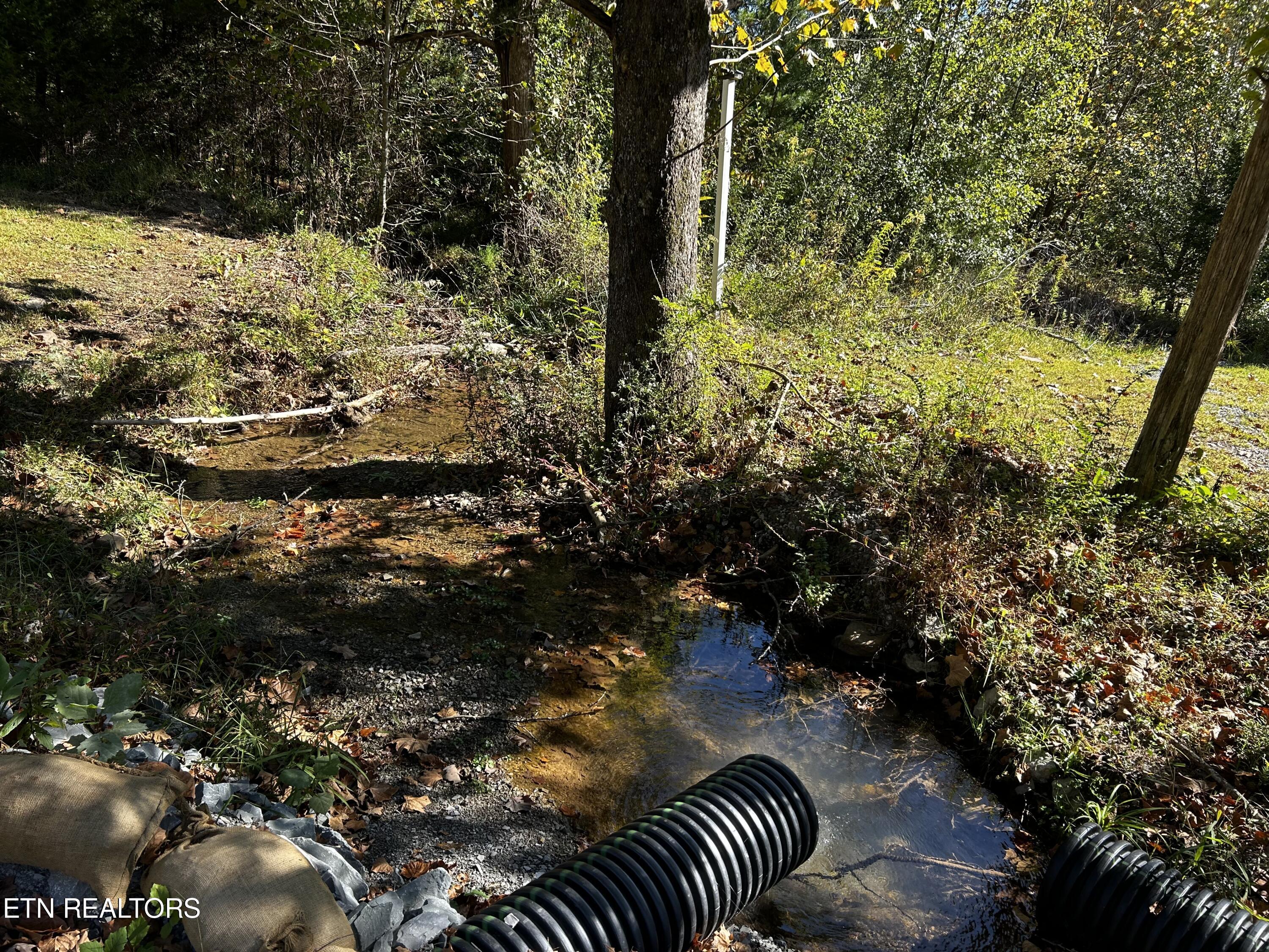 1483 Reagan Valley Rd Property Photo 6