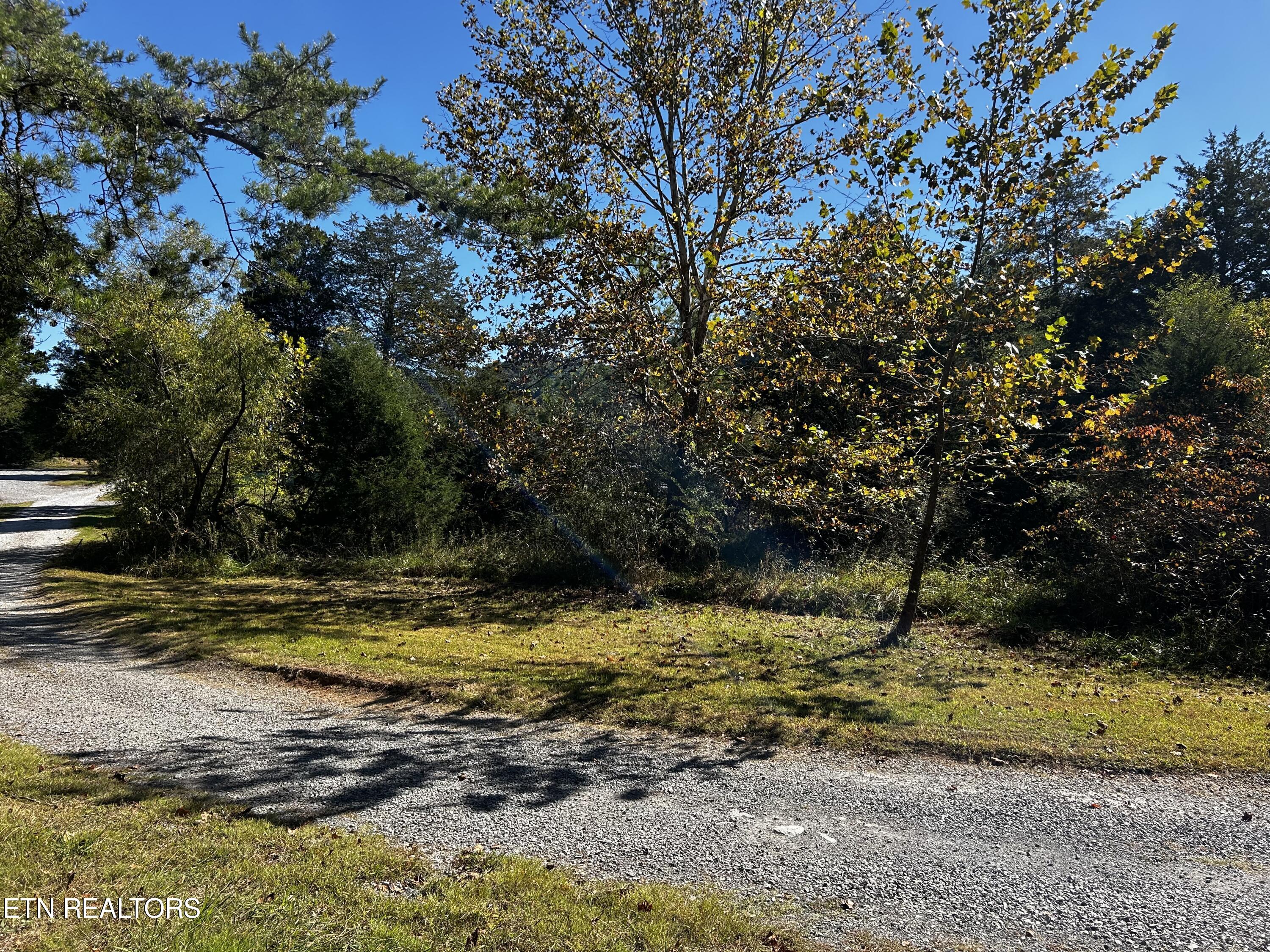 1483 Reagan Valley Rd Property Photo 7