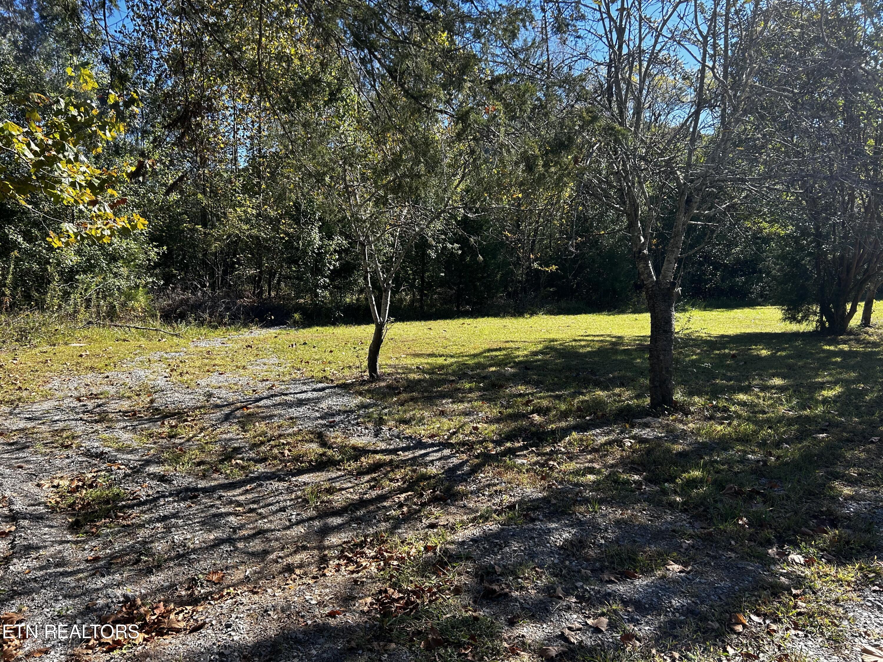 1483 Reagan Valley Rd Property Photo 9