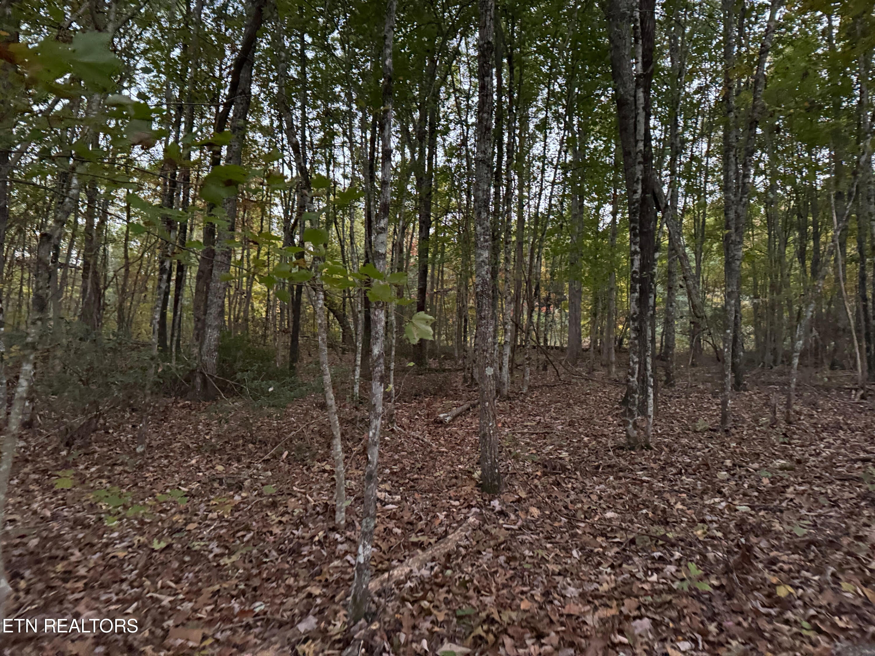 0 Panther Falls Rd Property Photo 2