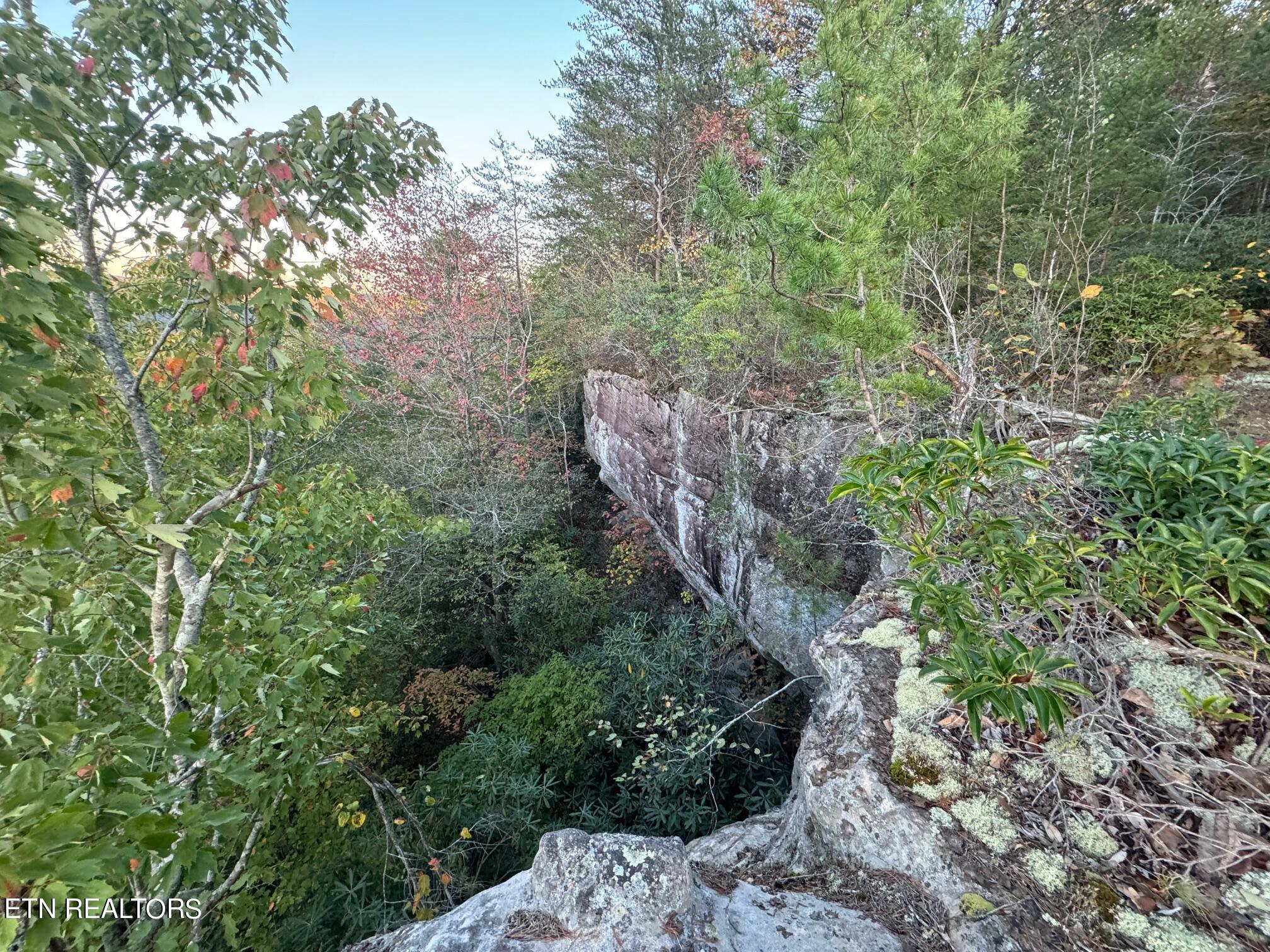 0 Panther Falls Rd Property Photo 5