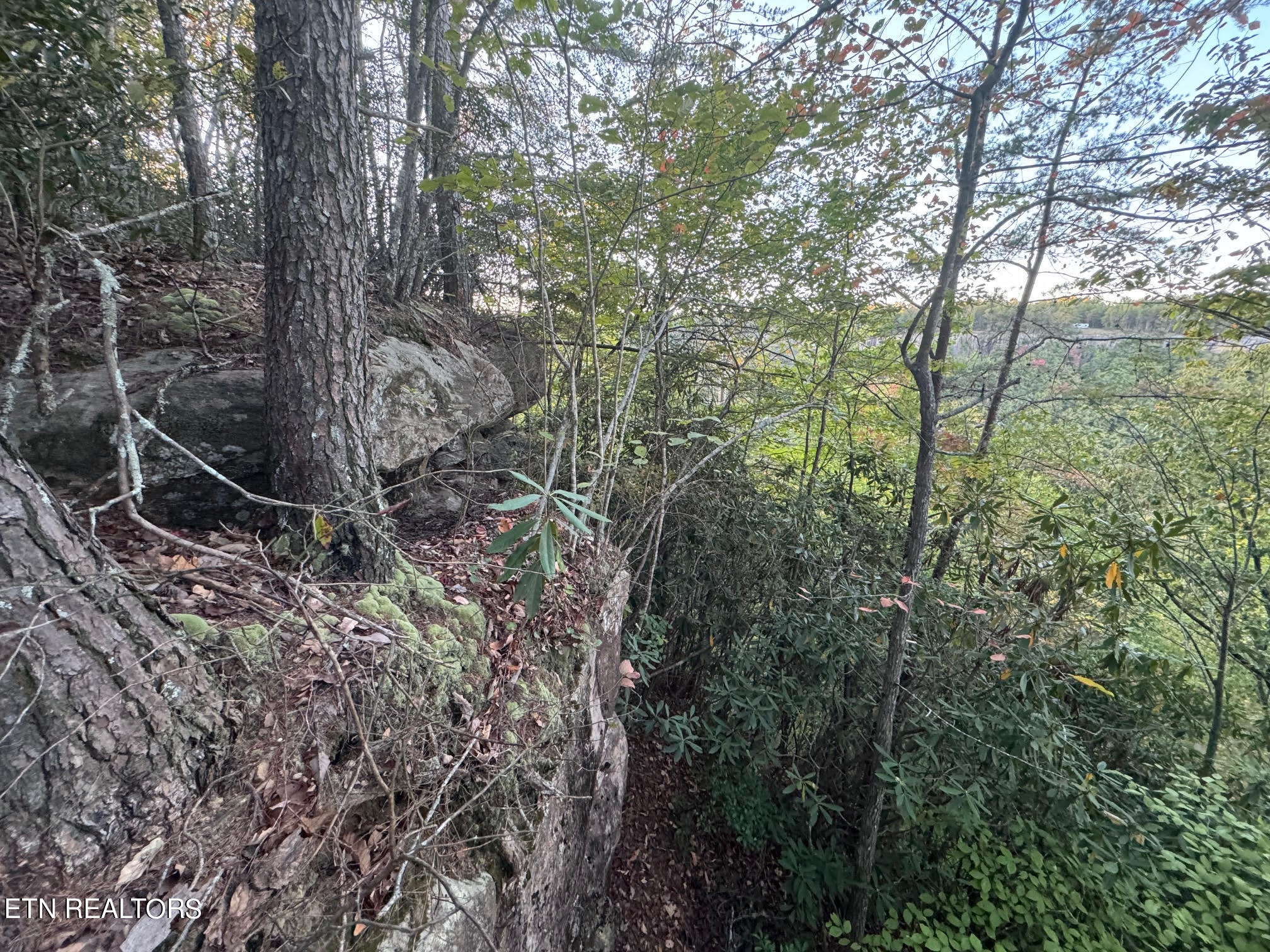 0 Panther Falls Rd Property Photo 8