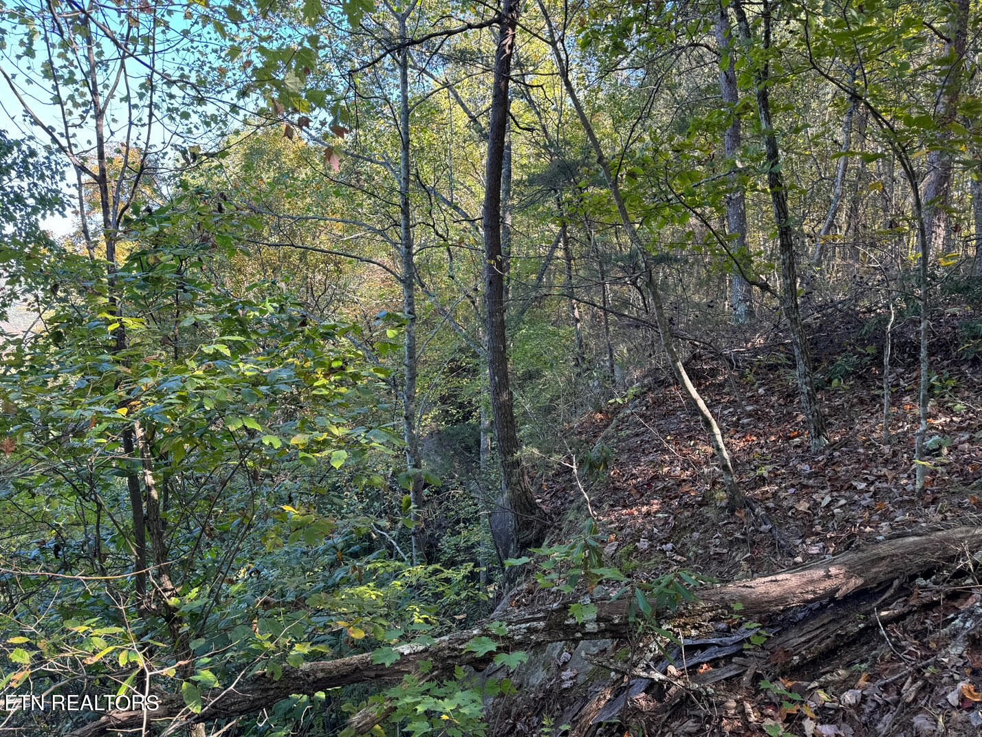 0 Panther Falls Rd Property Photo 16