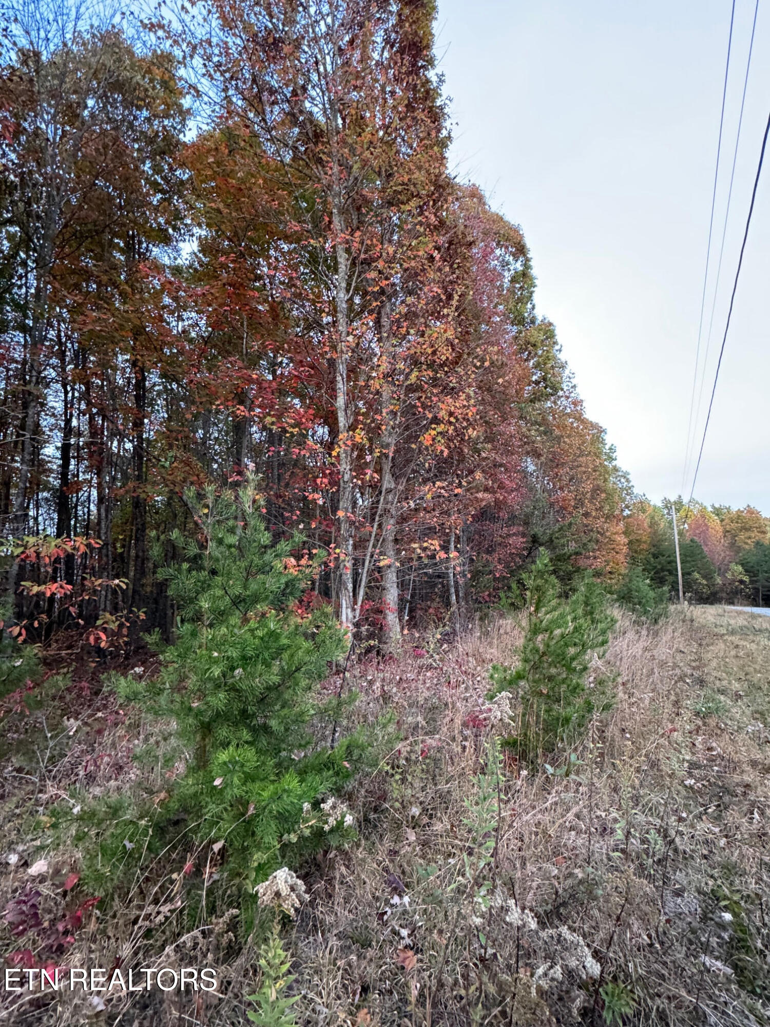0 Panther Falls Rd Property Photo 17