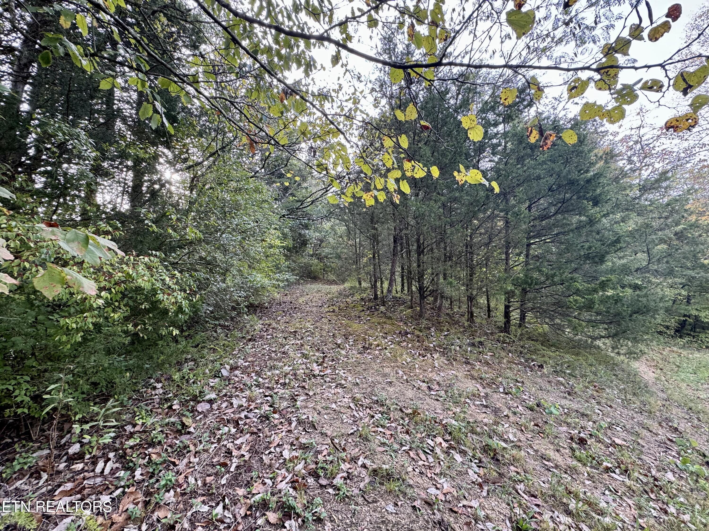 Lot 18 Heatley Ln Property Photo 2