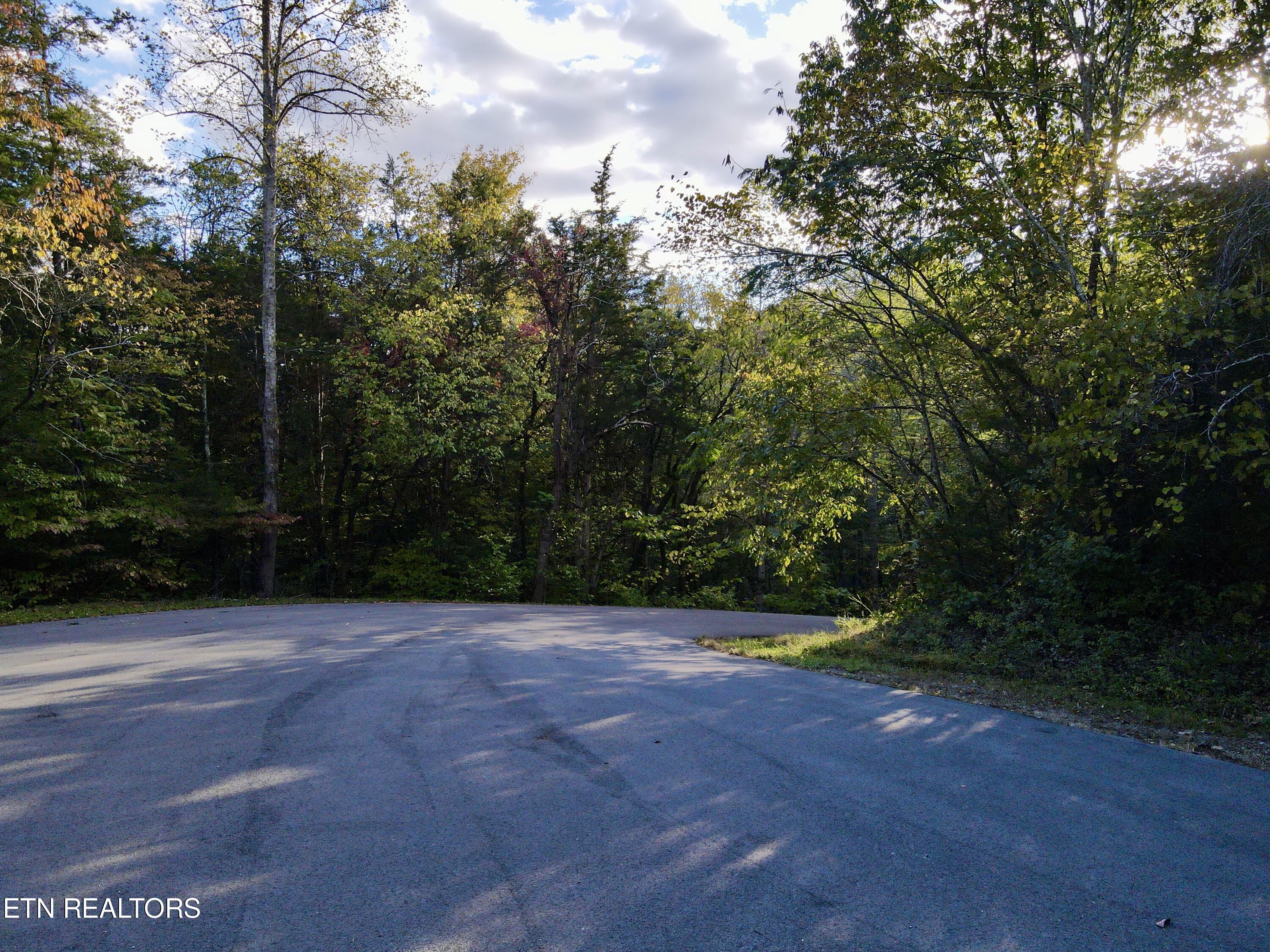 Lot 18 Heatley Ln Property Photo 3