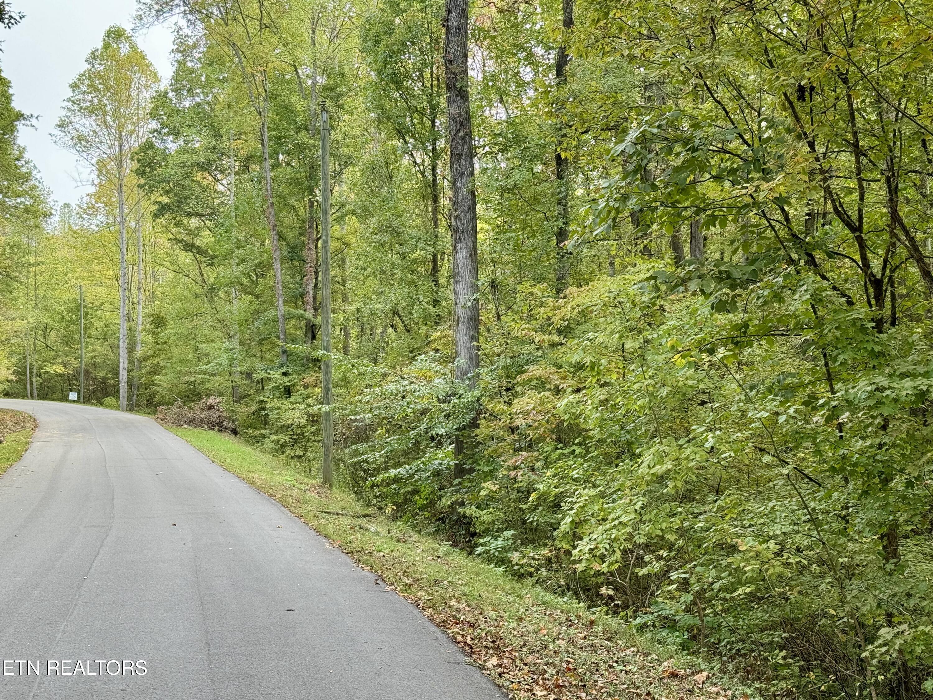 Lot 18 Heatley Ln Property Photo 4