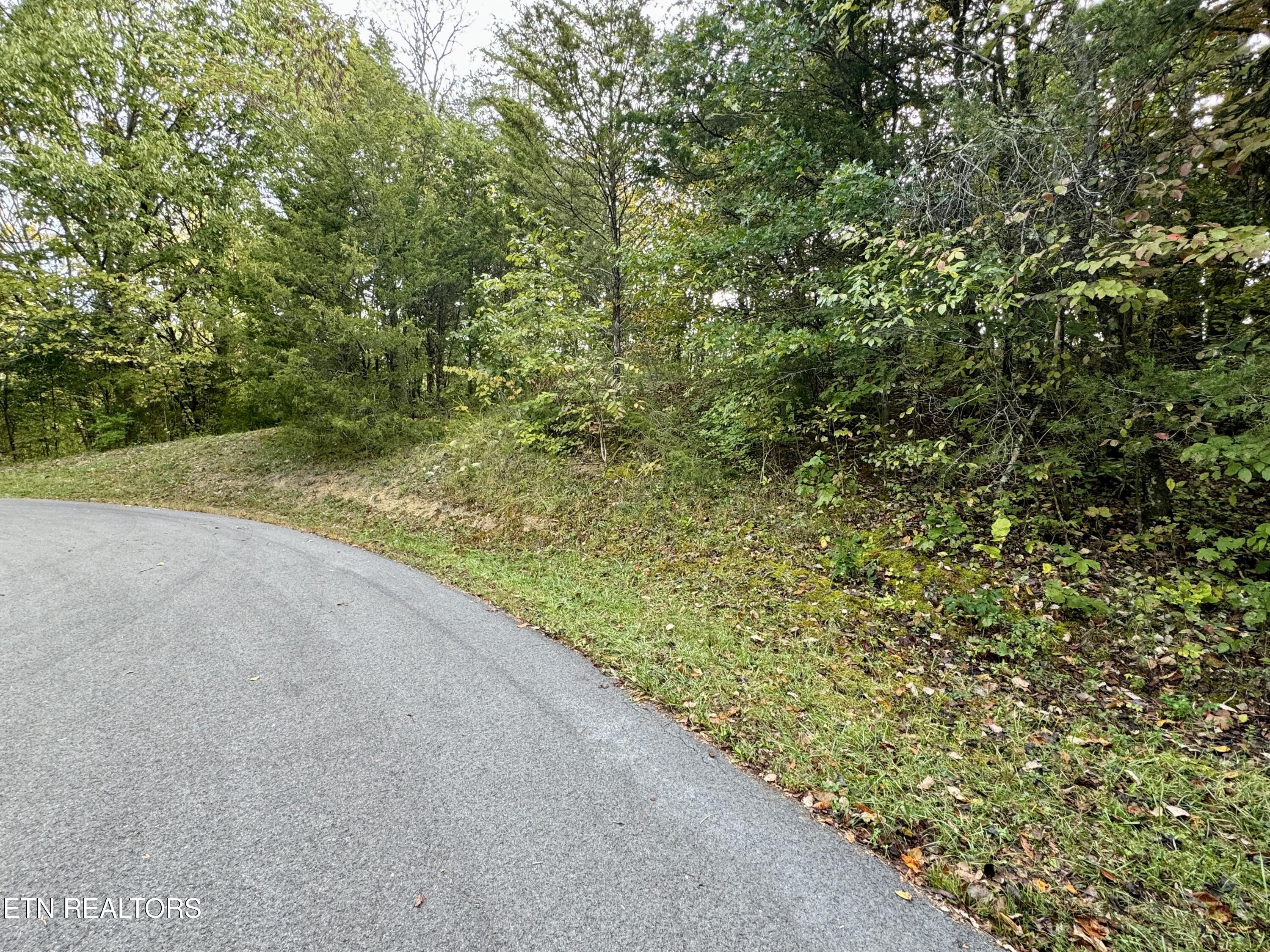 Lot 18 Heatley Ln Property Photo 5