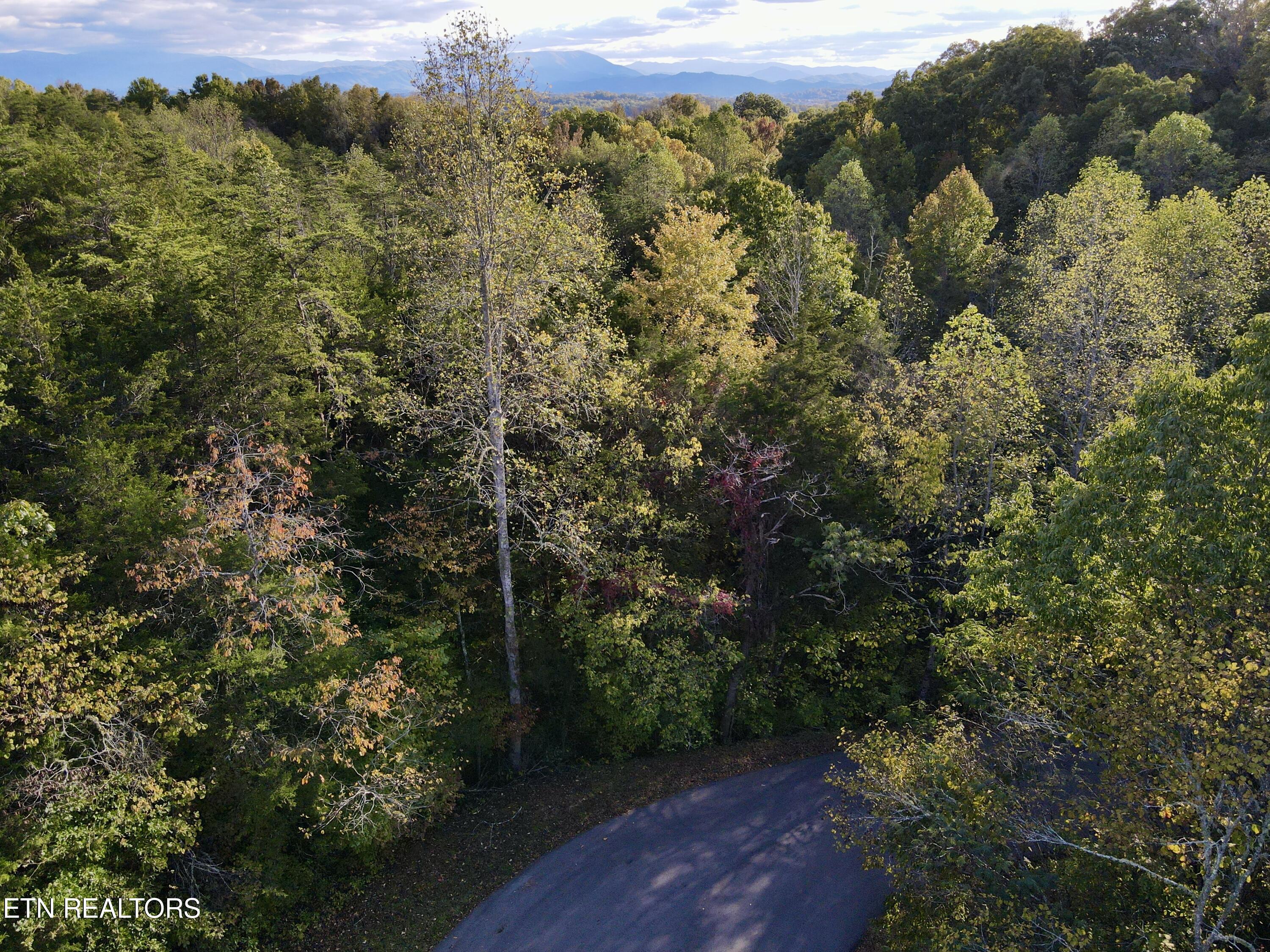Lot 18&19 Heatley Lane Property Photo 8