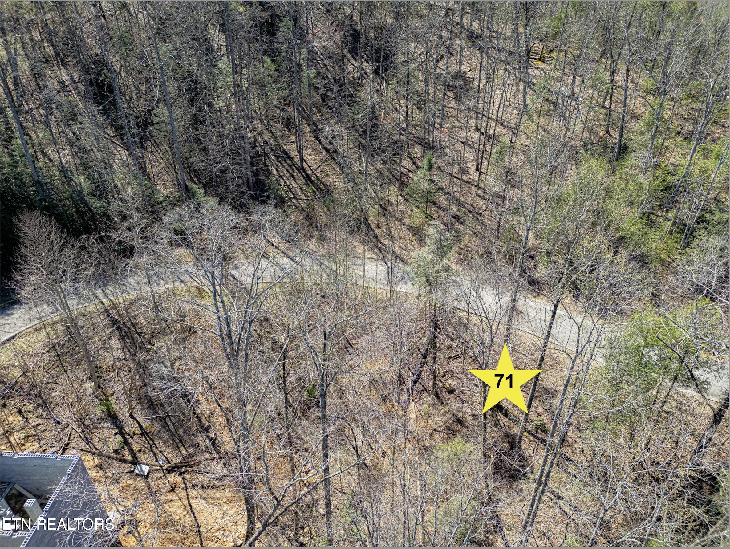 Lot 71 Smoky Ridge Way Property Photo 3