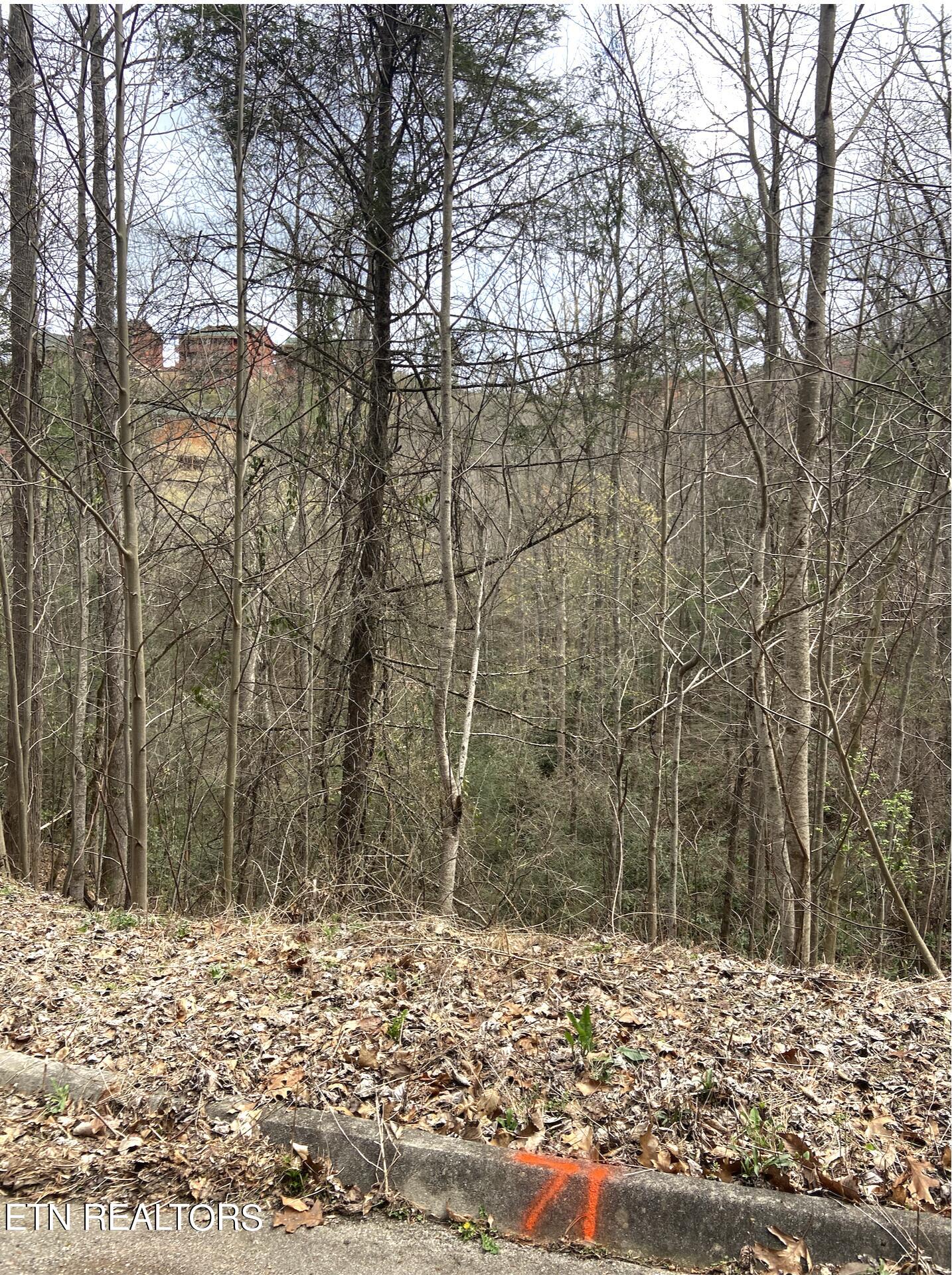 Lot 71 Smoky Ridge Way Property Photo 4