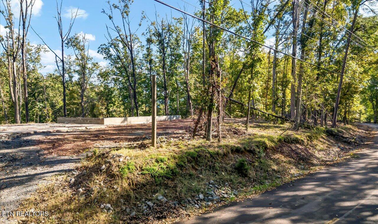 313 Chelaque Way Property Photo 1