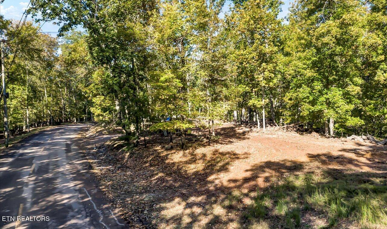 313 Chelaque Way Property Photo 2