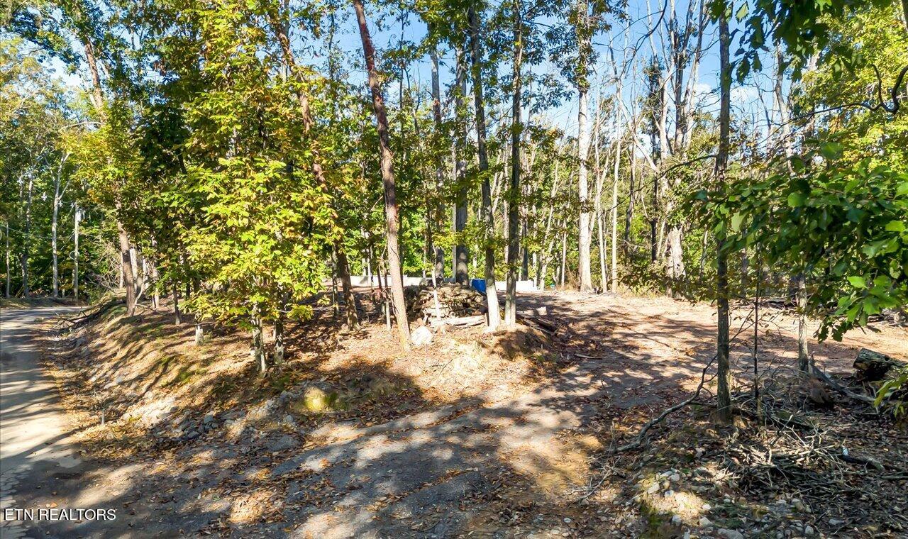 313 Chelaque Way Property Photo 5