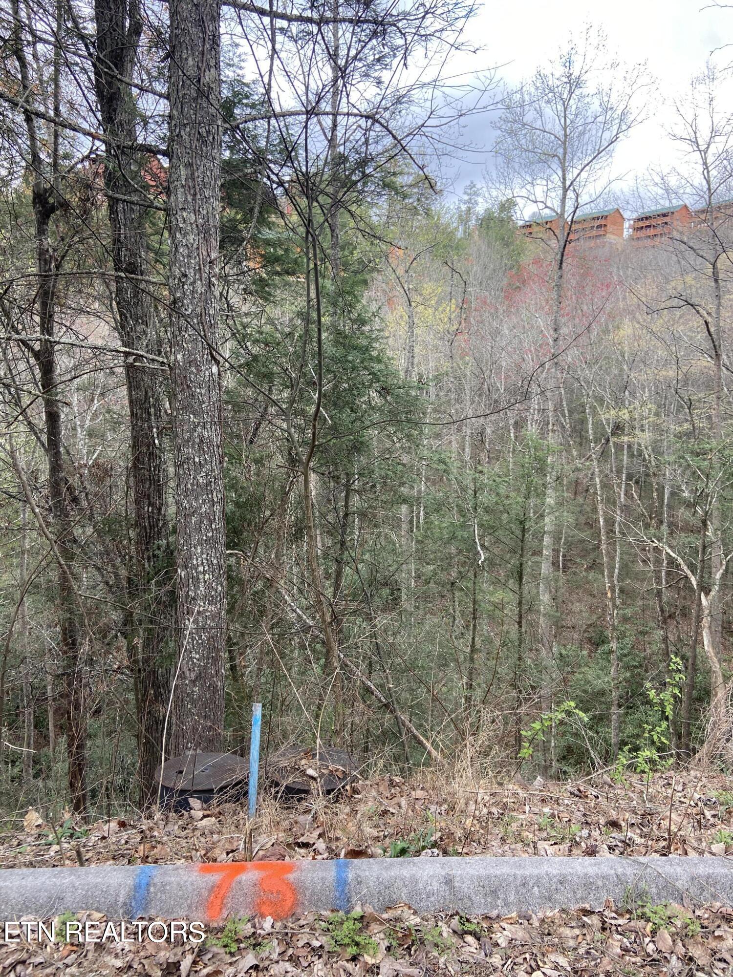Lot 73 Smoky Ridge Way Property Photo 1