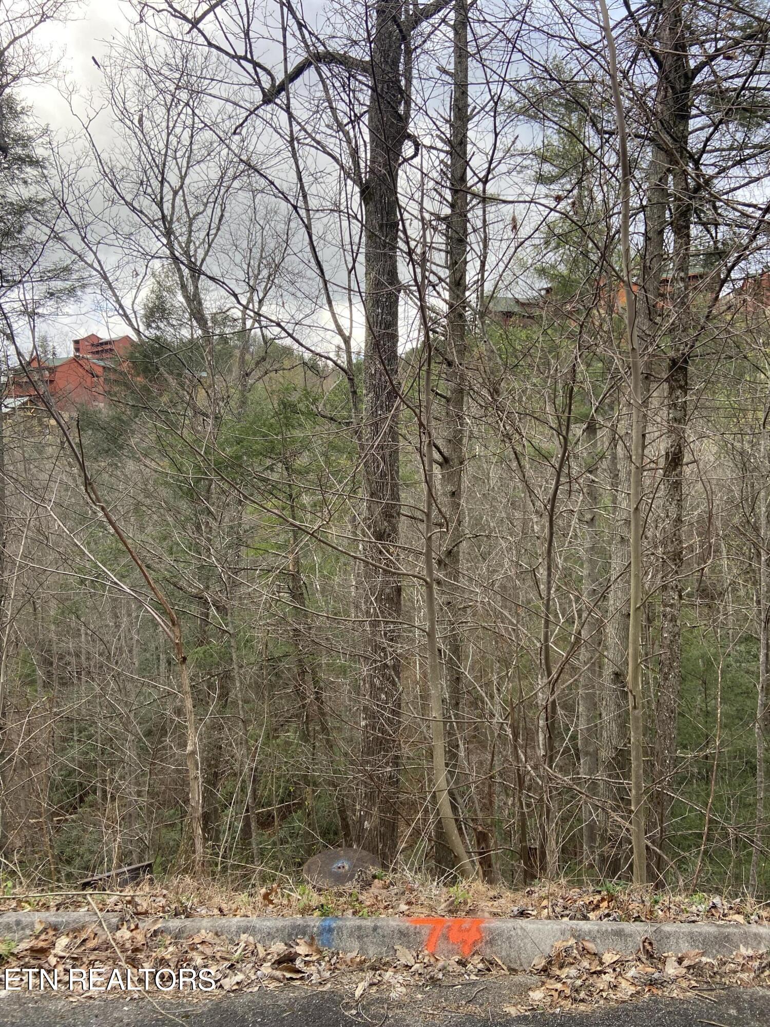 Lot 74 Smoky Ridge Way Property Photo 1