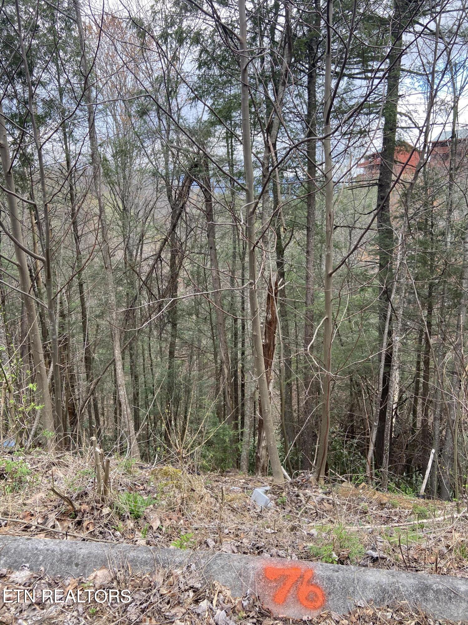 Lot 76 Smoky Ridge Way Property Photo