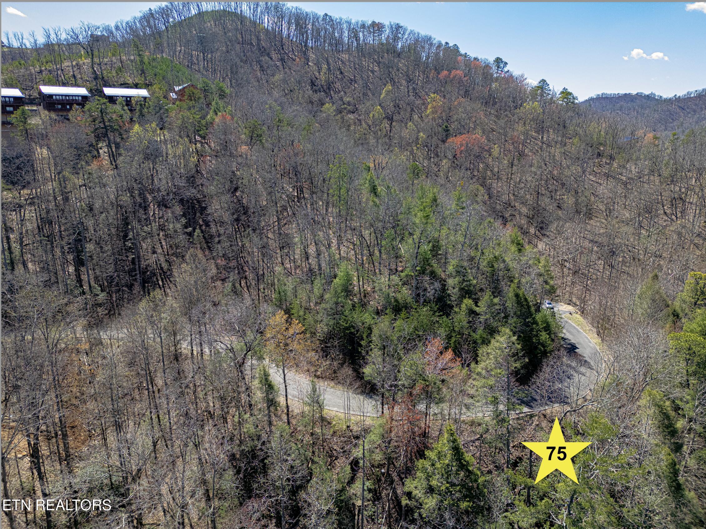 8 Lots Total - Smoky Ridge Way Property Photo 7