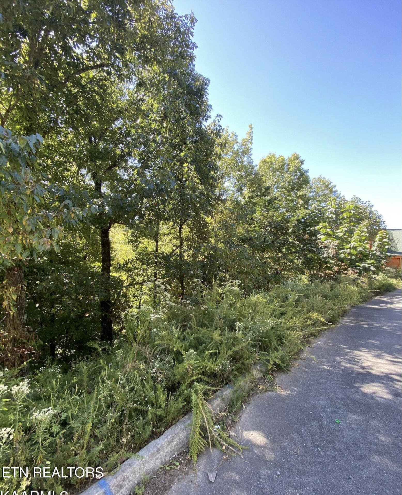 8 Lots Total - Smoky Ridge Way Property Photo 12