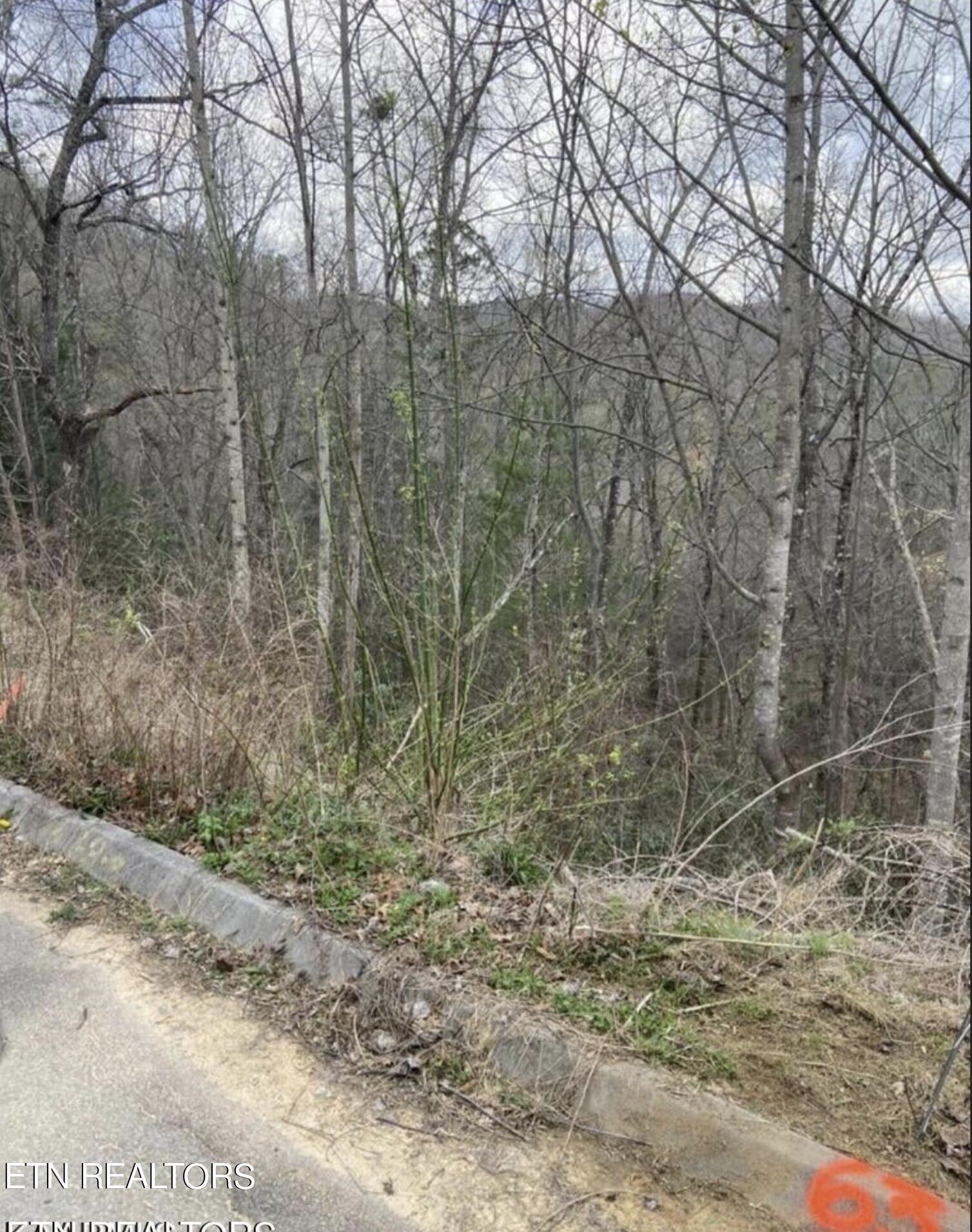 8 Lots Total - Smoky Ridge Way Property Photo 13