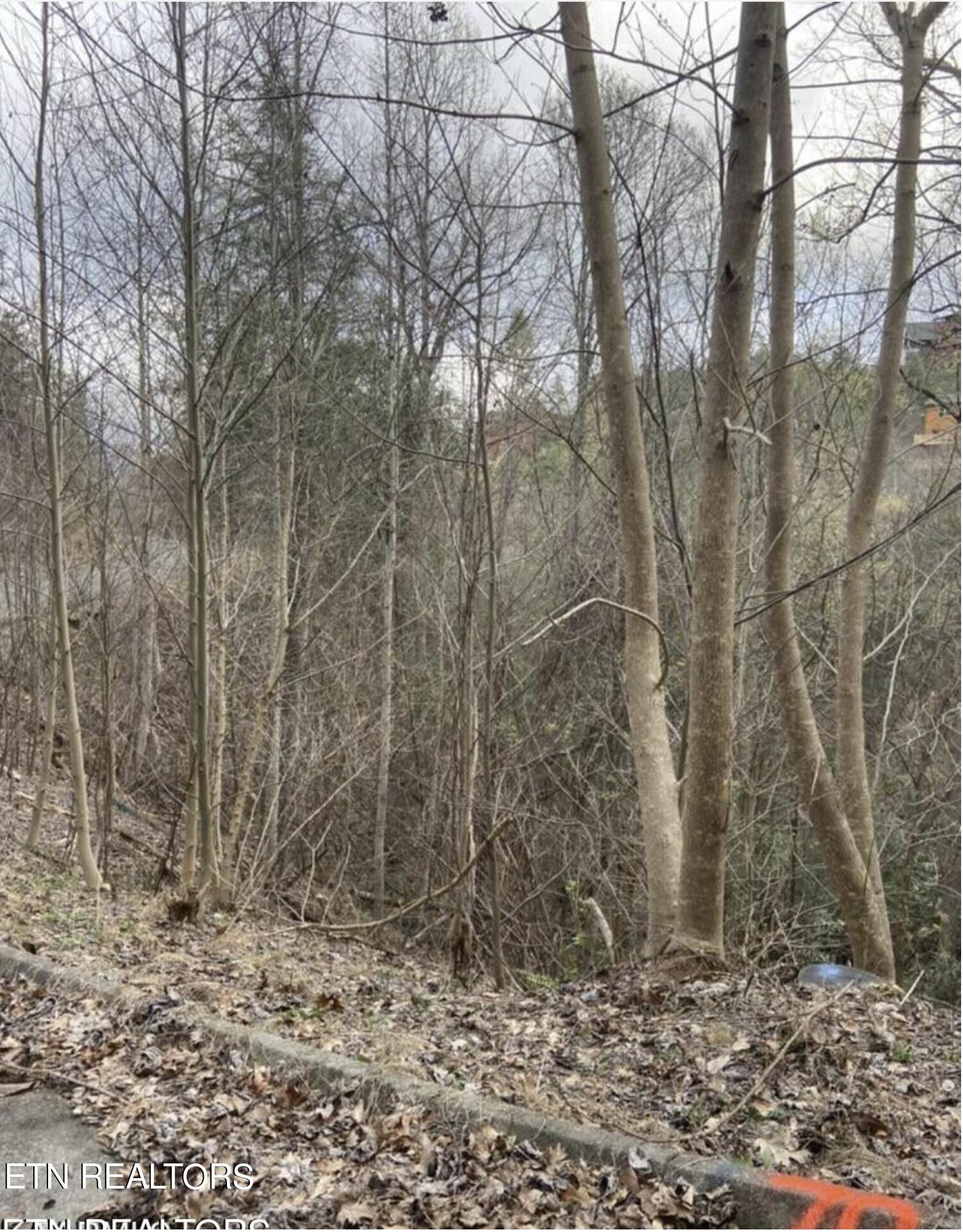 8 Lots Total - Smoky Ridge Way Property Photo 14