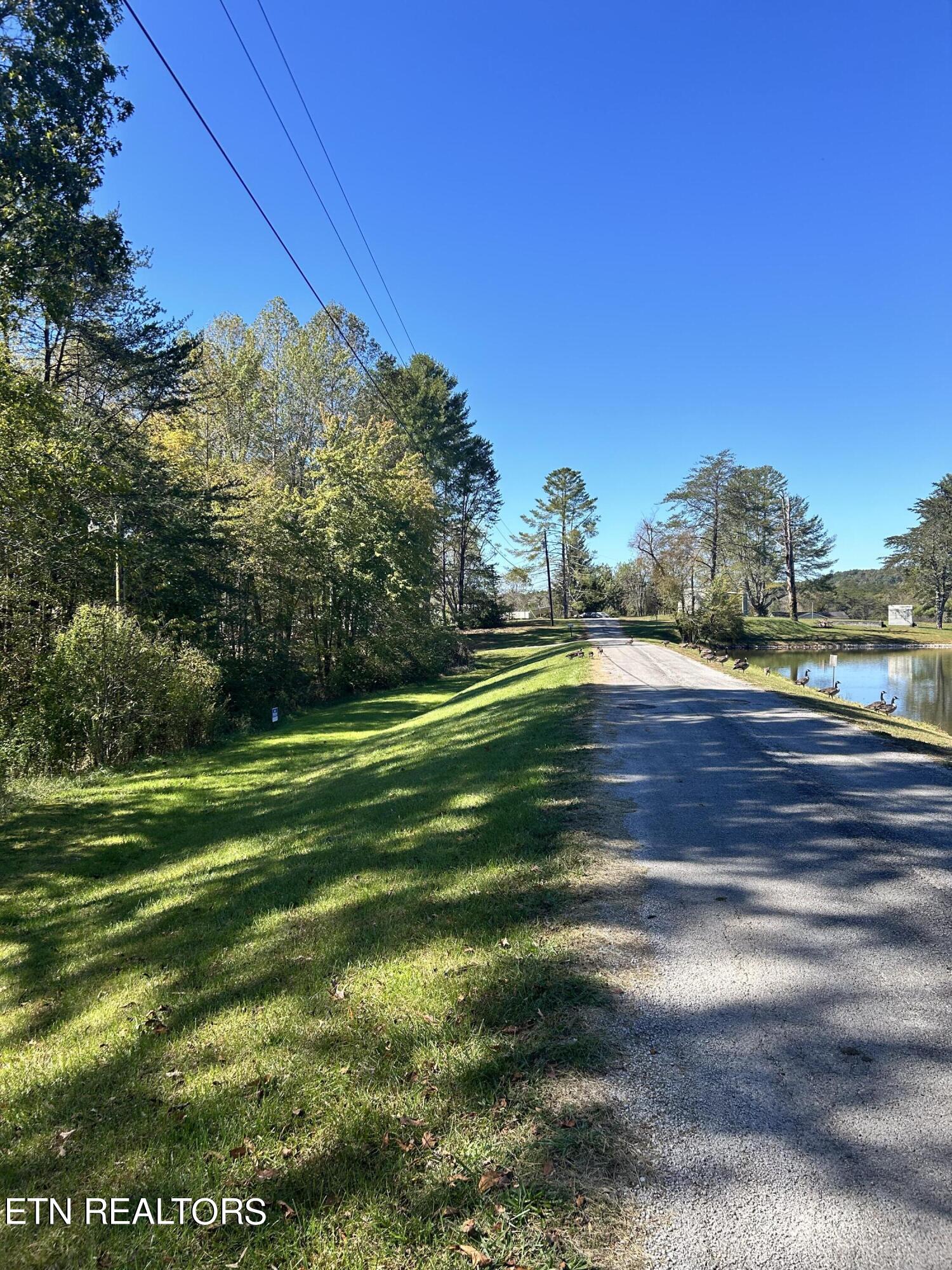David Crockett Rd Property Photo