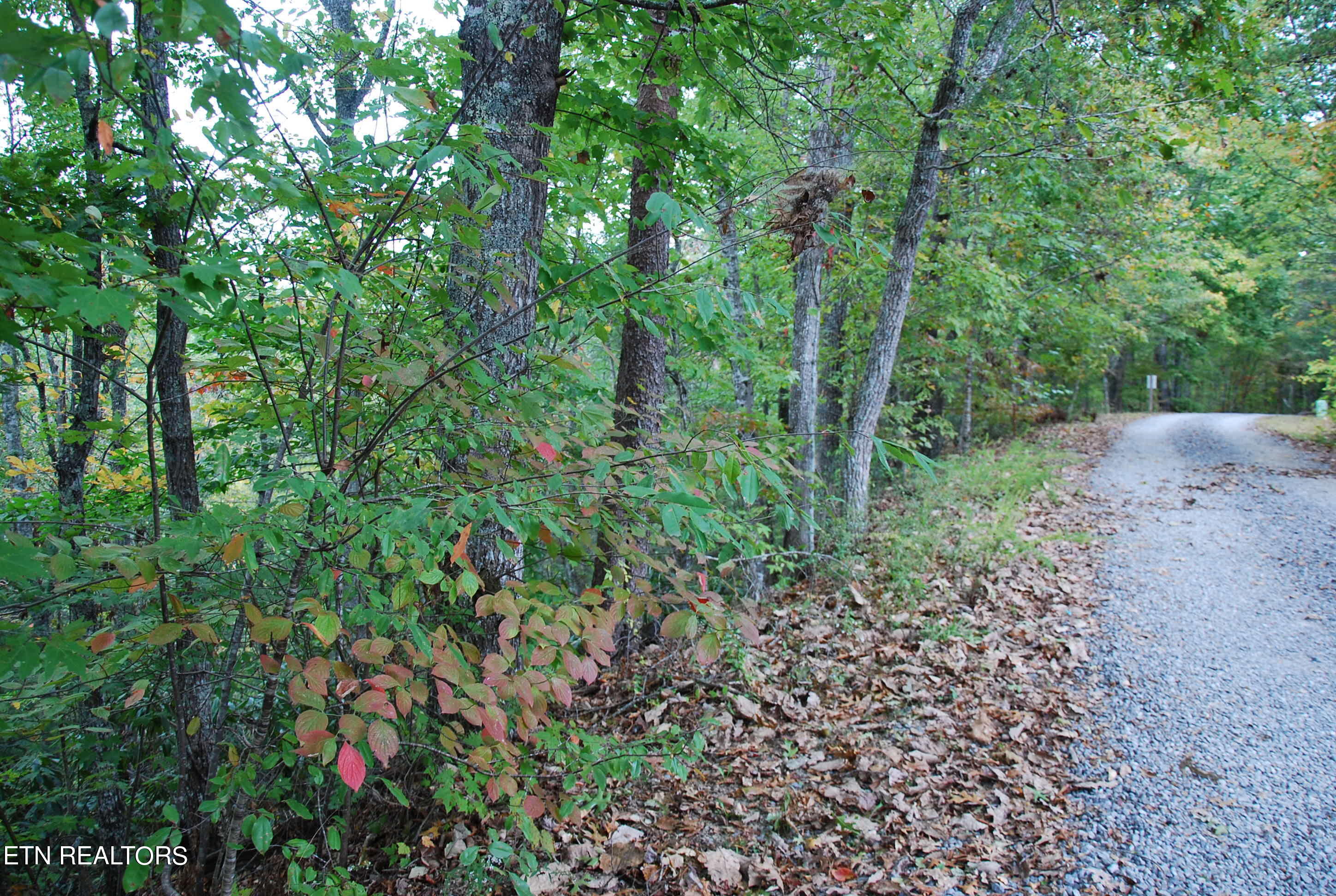 2017 Ridgecrest Loop Lane Property Photo 2