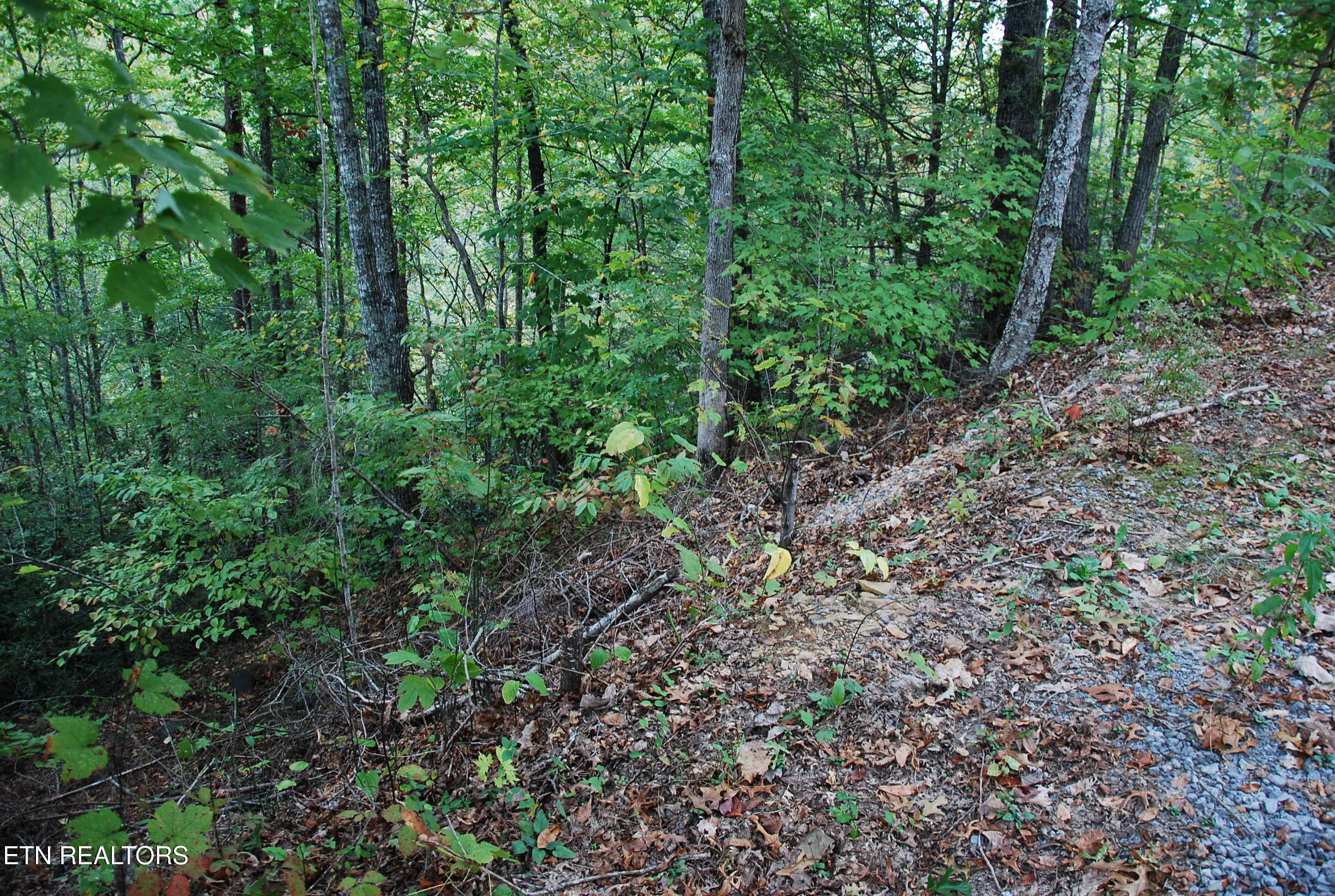 2017 Ridgecrest Loop Lane Property Photo 3