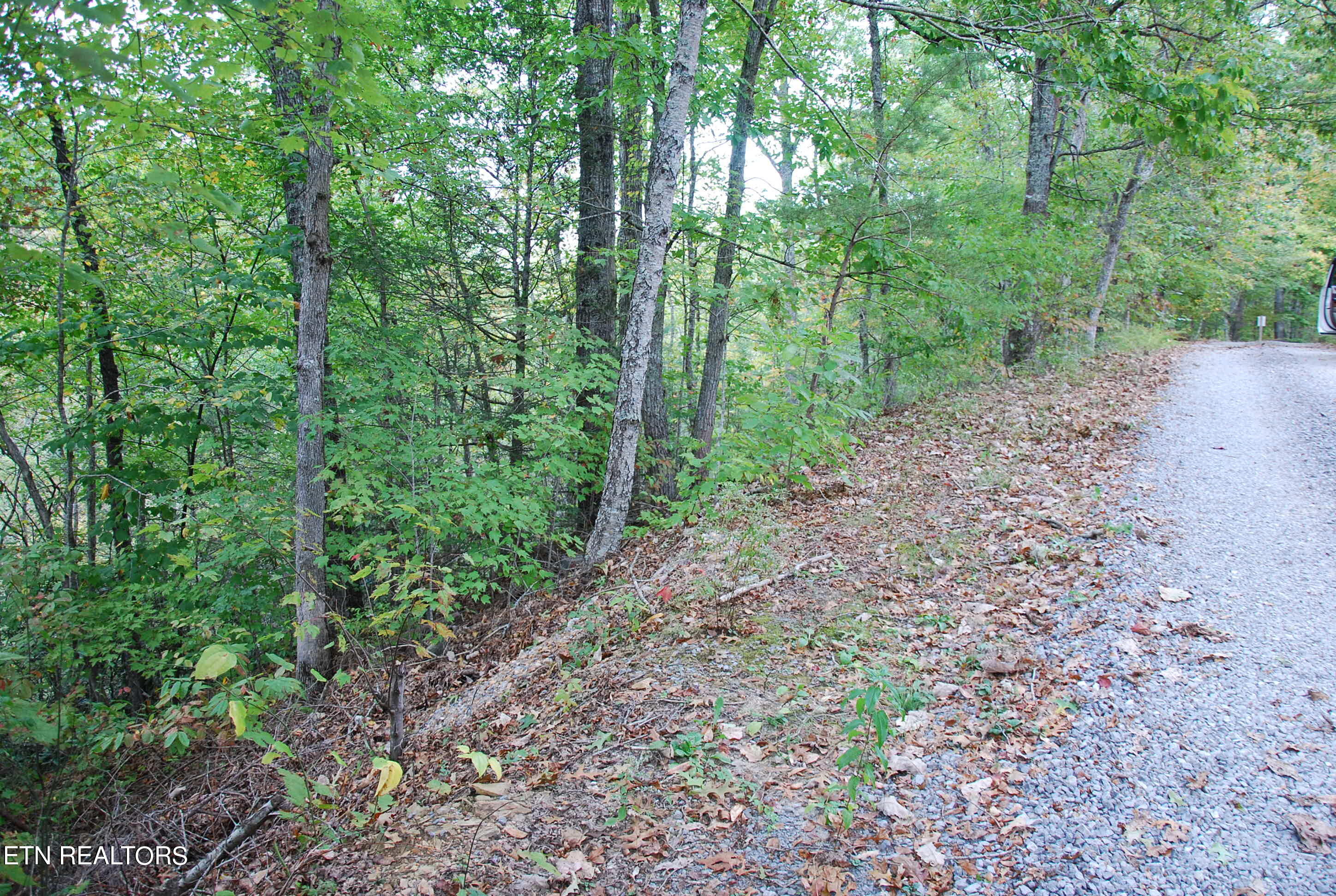 2017 Ridgecrest Loop Lane Property Photo 4