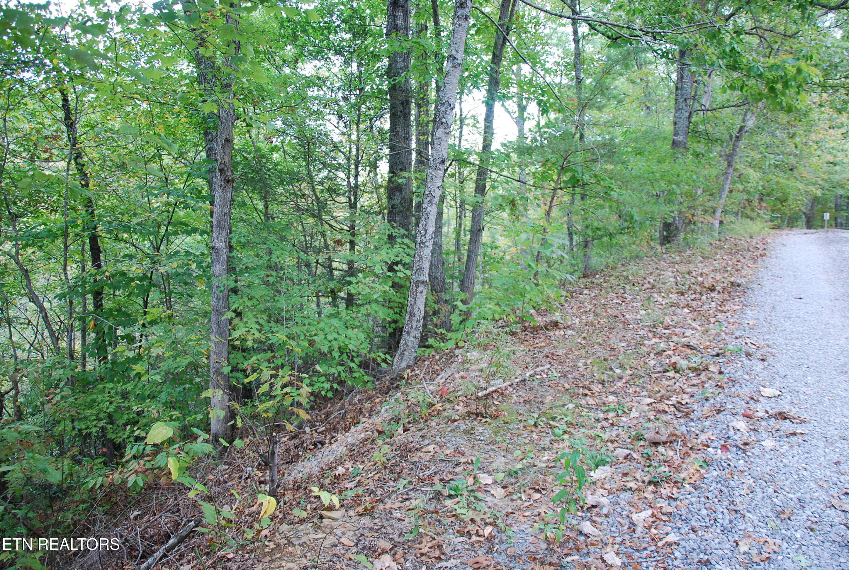 2017 Ridgecrest Loop Lane Property Photo 5
