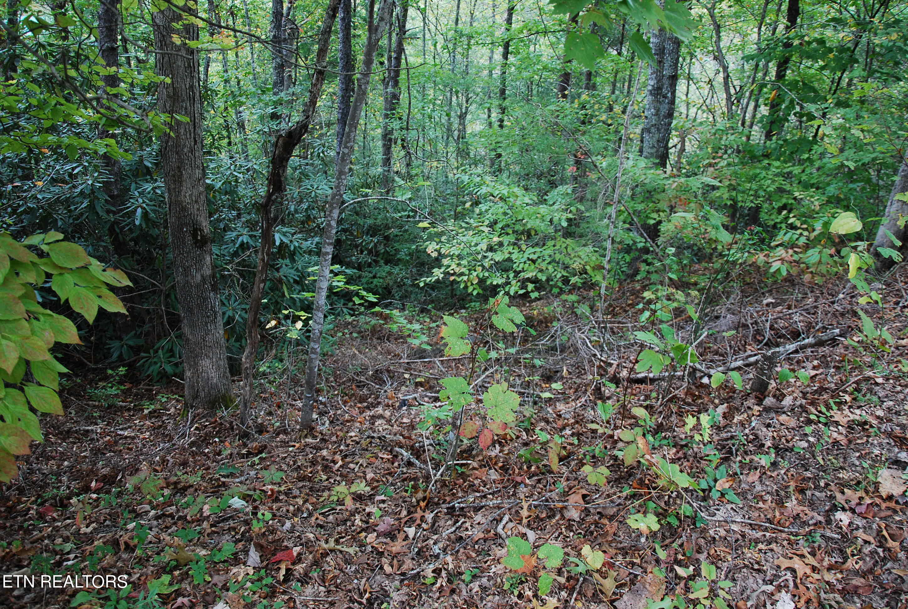2017 Ridgecrest Loop Lane Property Photo 6
