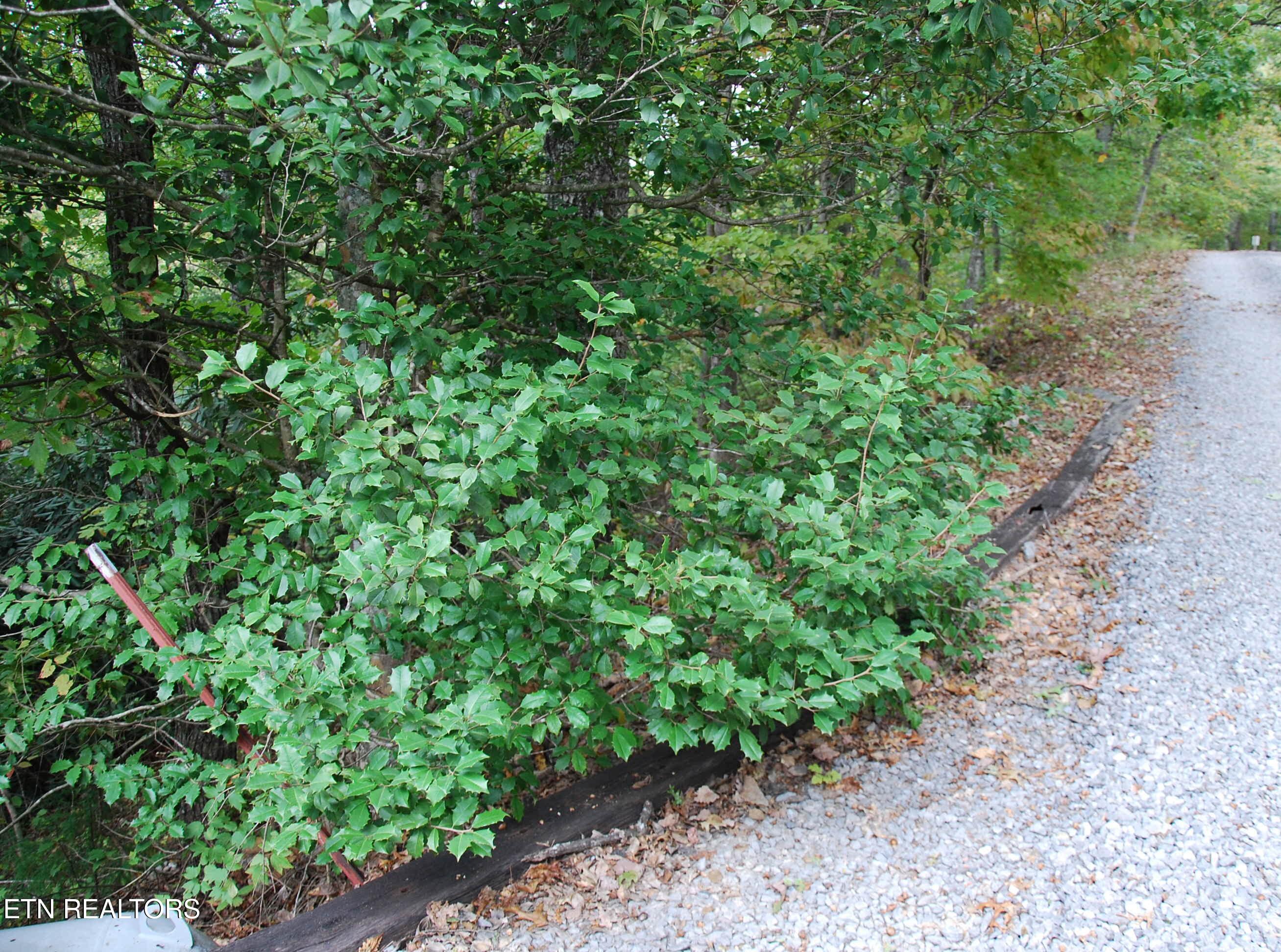 2017 Ridgecrest Loop Lane Property Photo 8