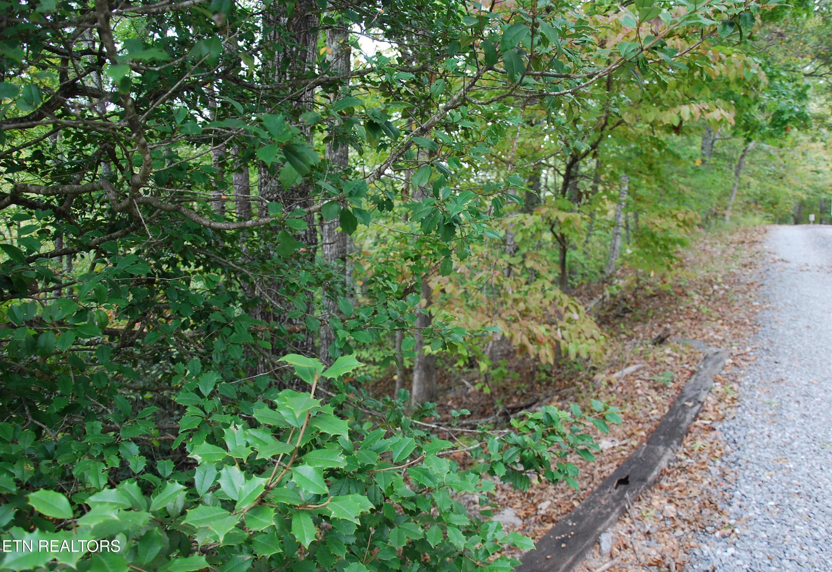 2017 Ridgecrest Loop Lane Property Photo 9