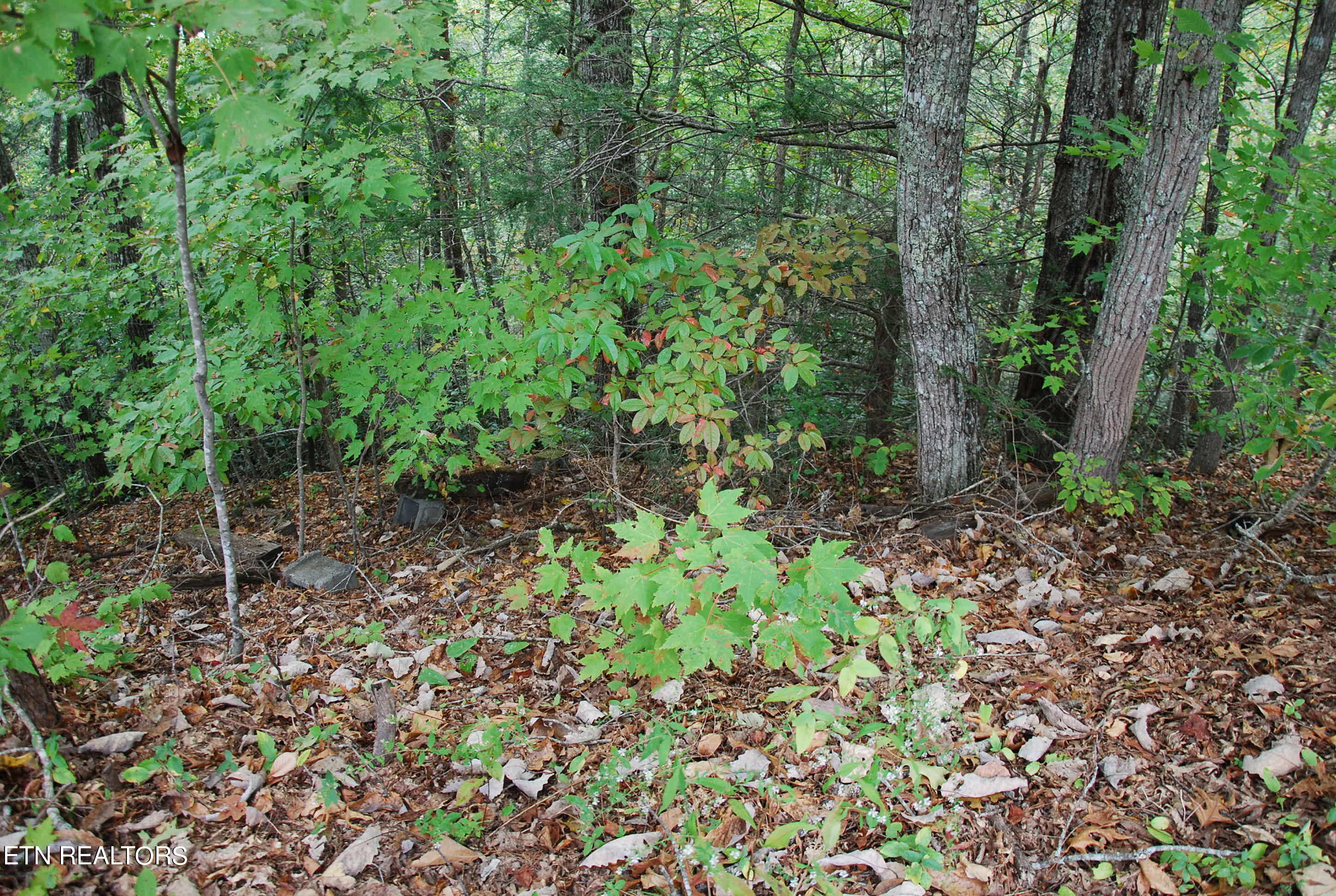 2017 Ridgecrest Loop Lane Property Photo 10