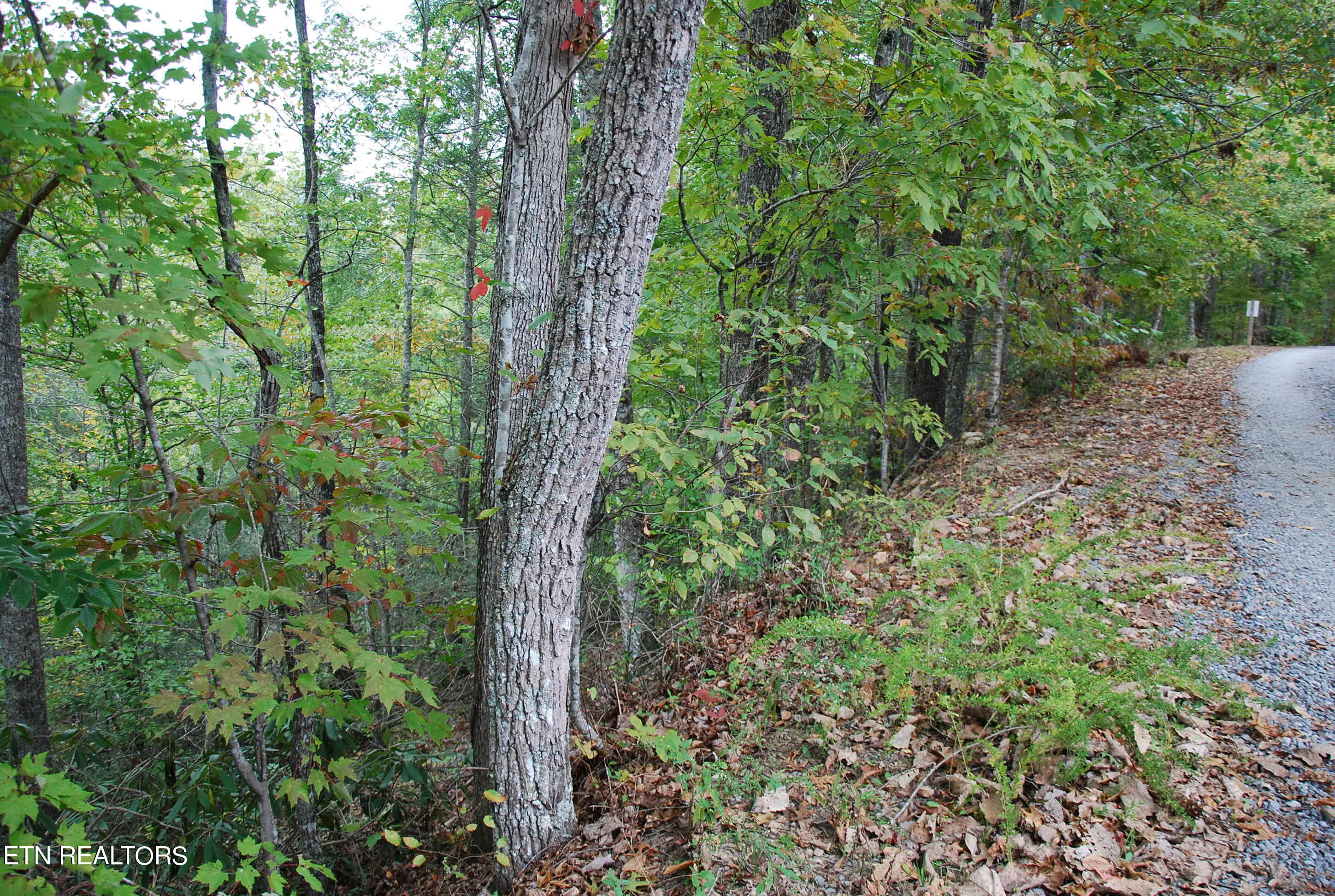 2017 Ridgecrest Loop Lane Property Photo 11