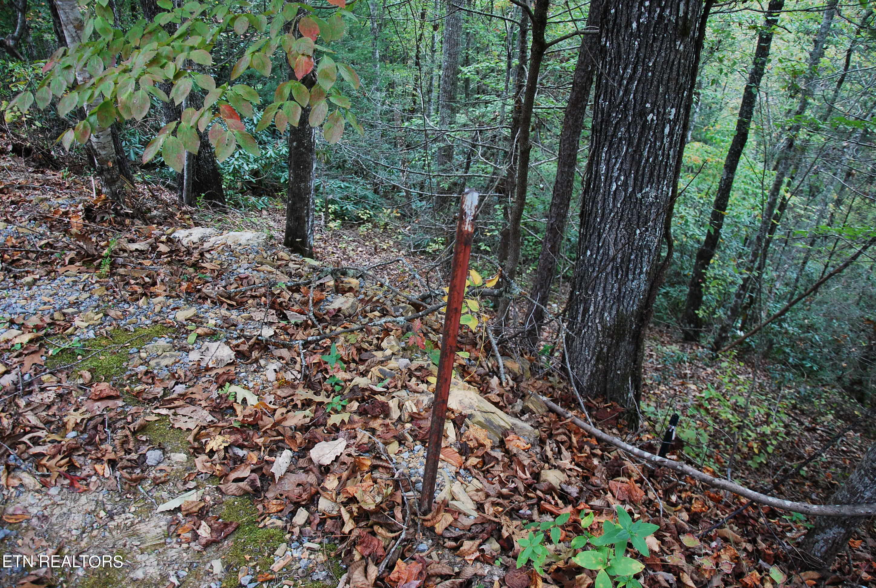 2017 Ridgecrest Loop Lane Property Photo 12