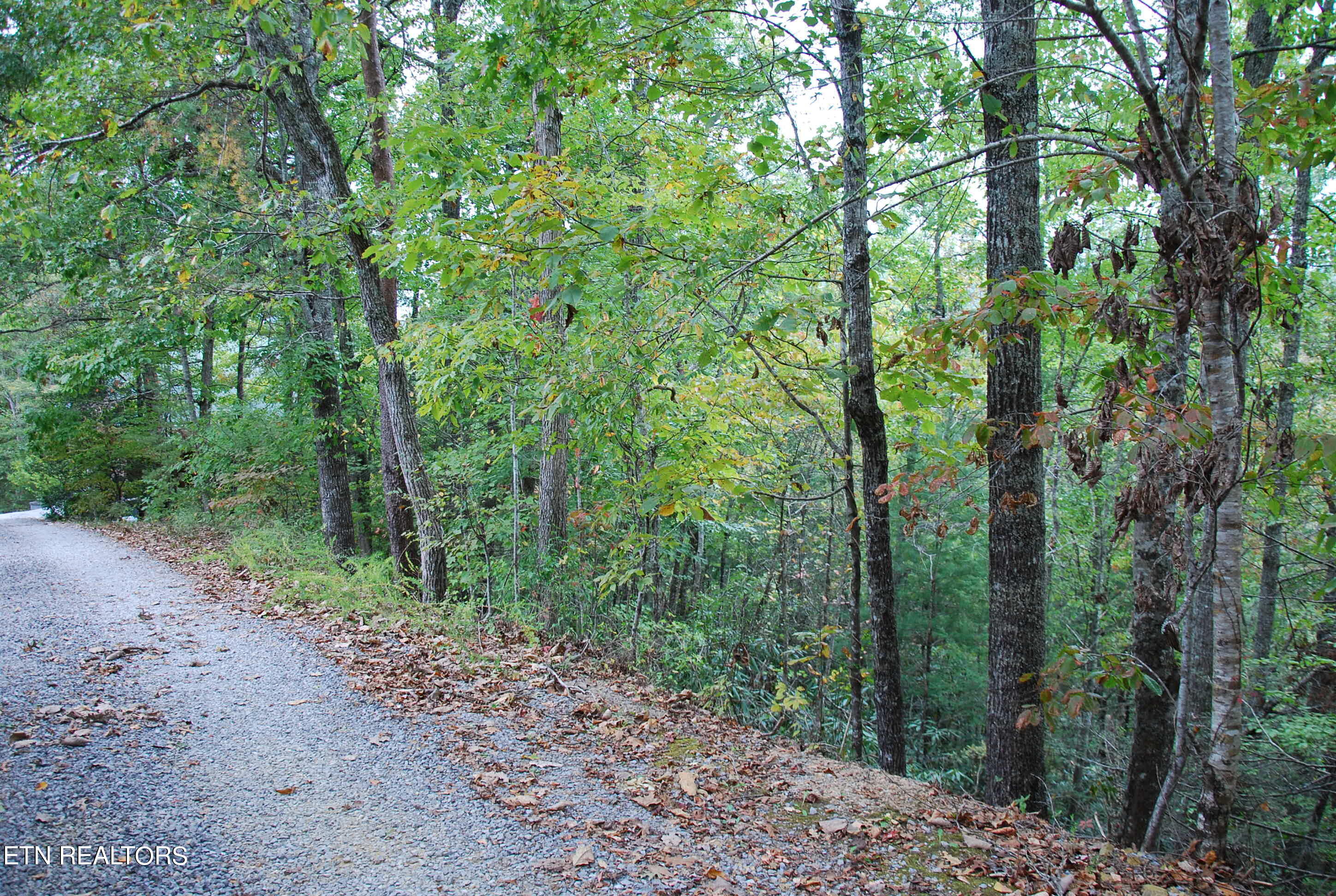 2017 Ridgecrest Loop Lane Property Photo 13