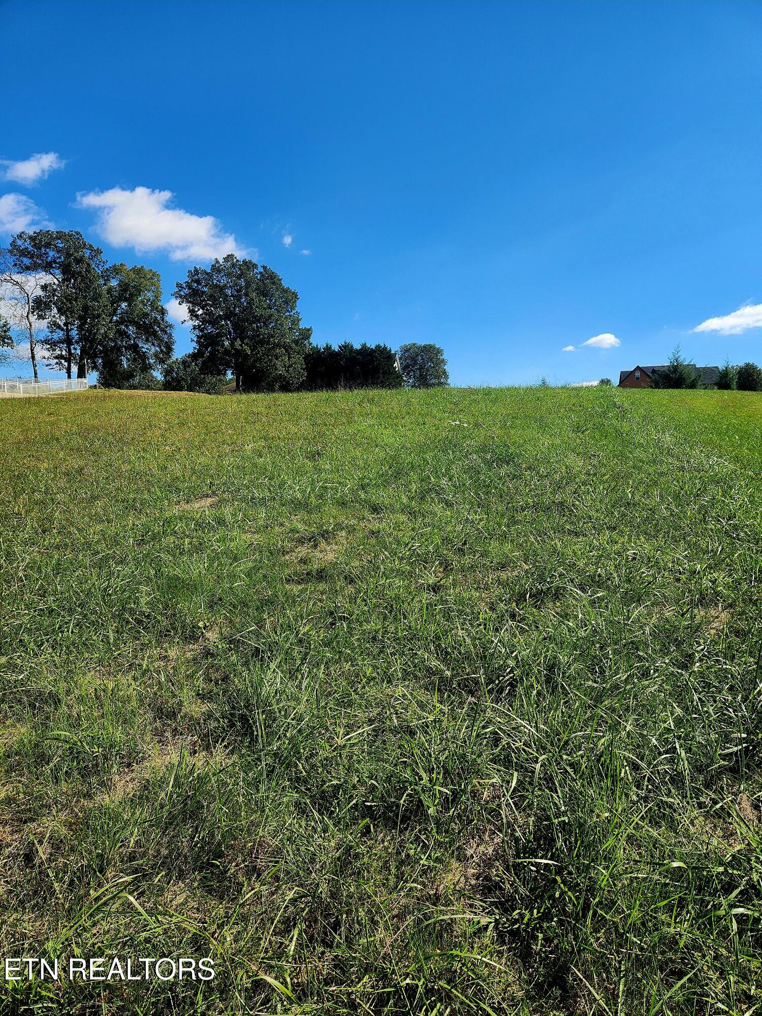 Luther Catlett Circle Property Photo 8