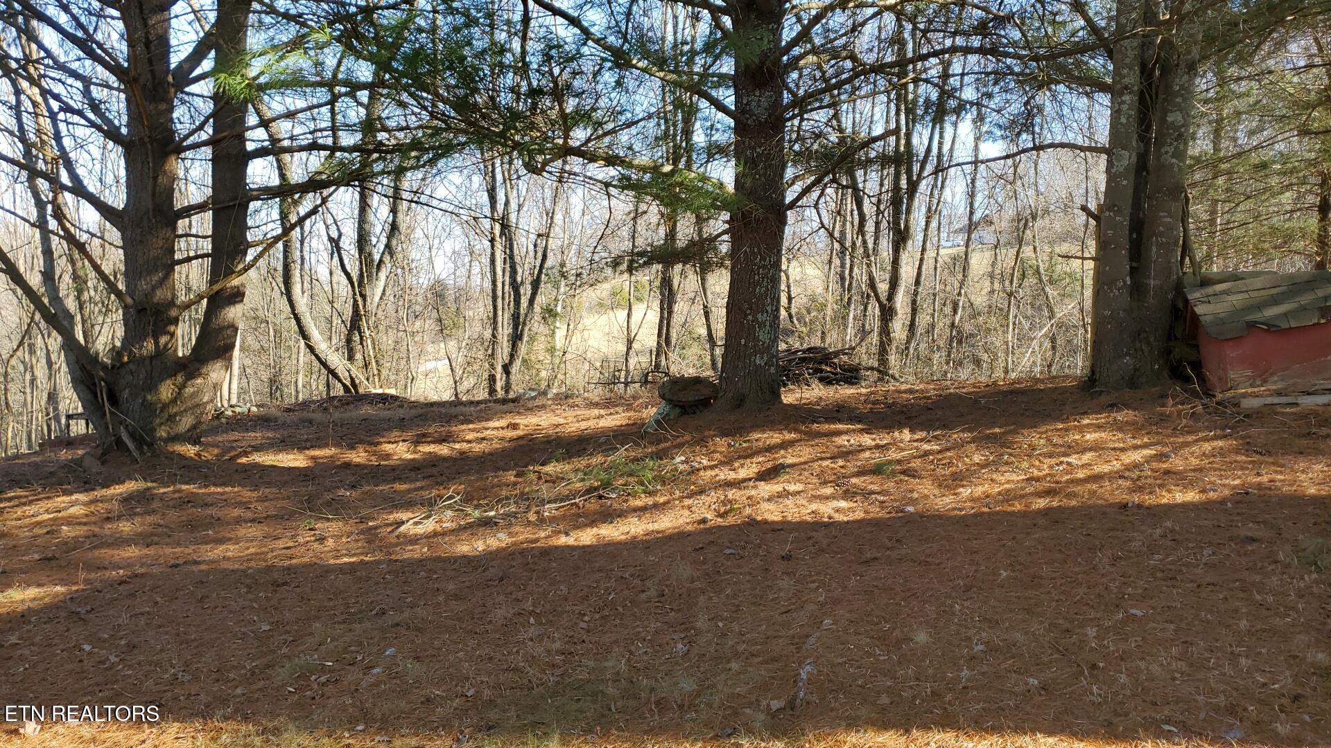 1225 Snodgrass Rd Property Photo 36