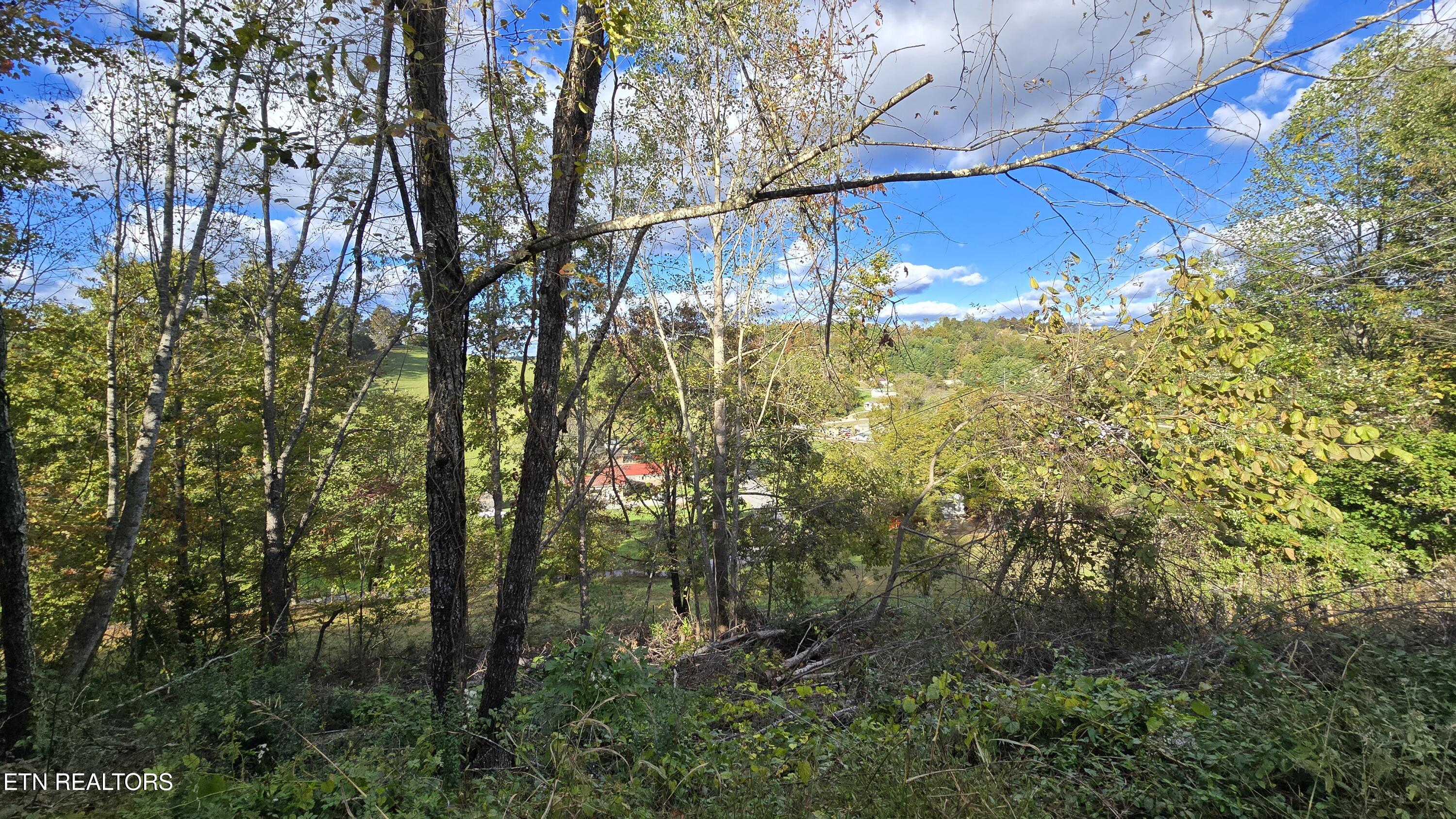 1225 Snodgrass Rd Property Photo 43