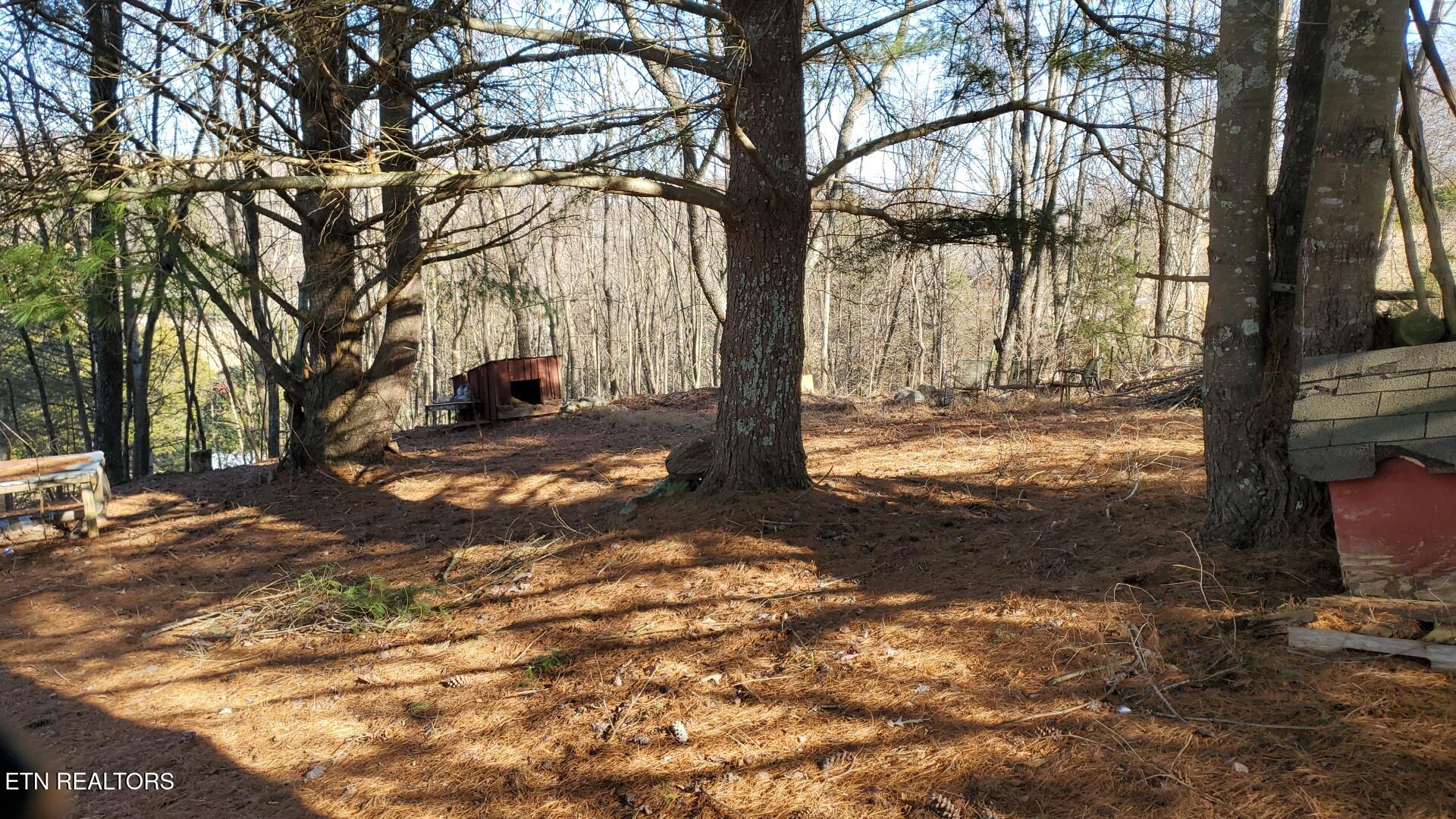 1225 Snodgrass Rd Property Photo 47
