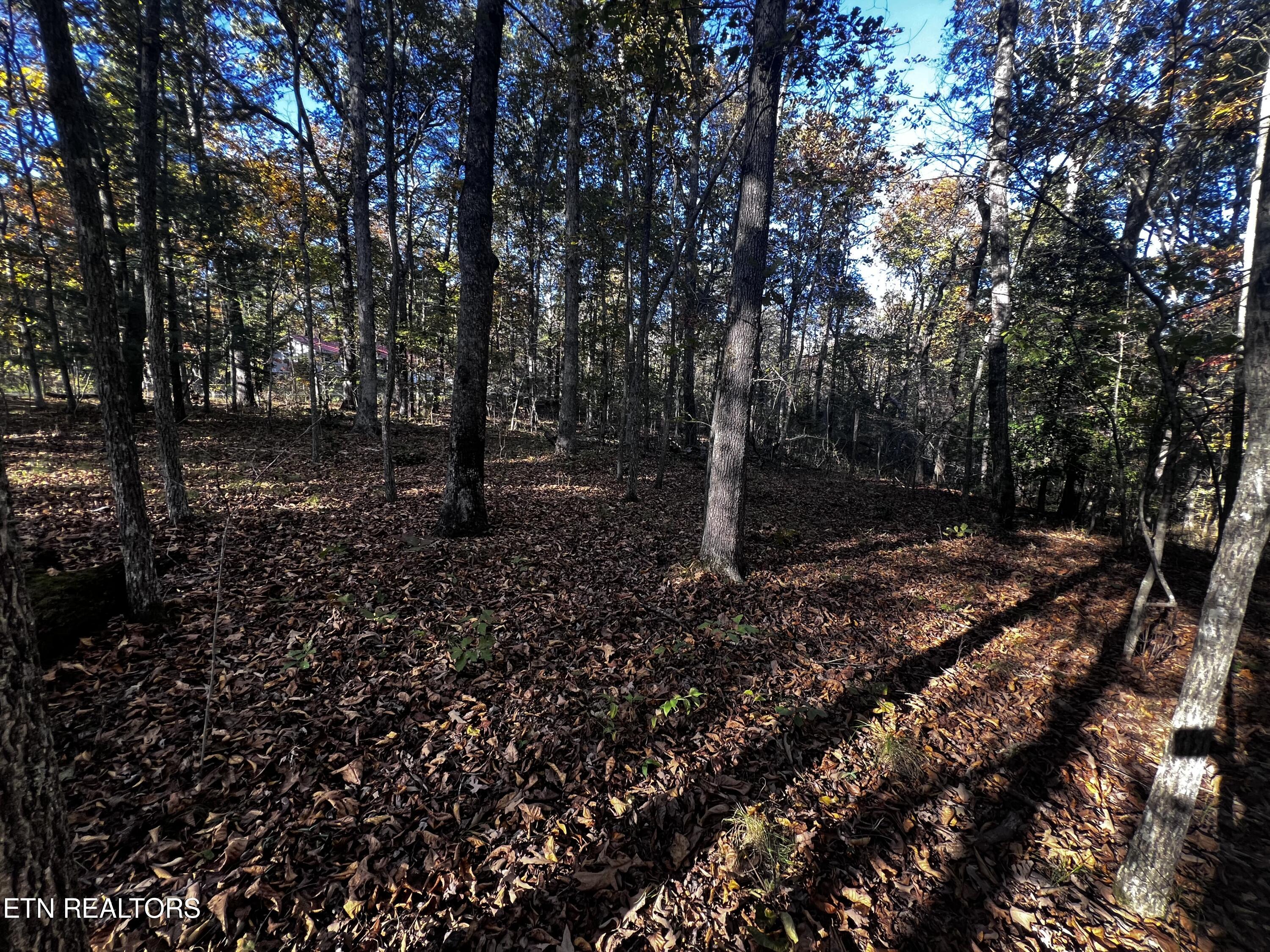 1320 Black Cloud Drive Property Photo 4