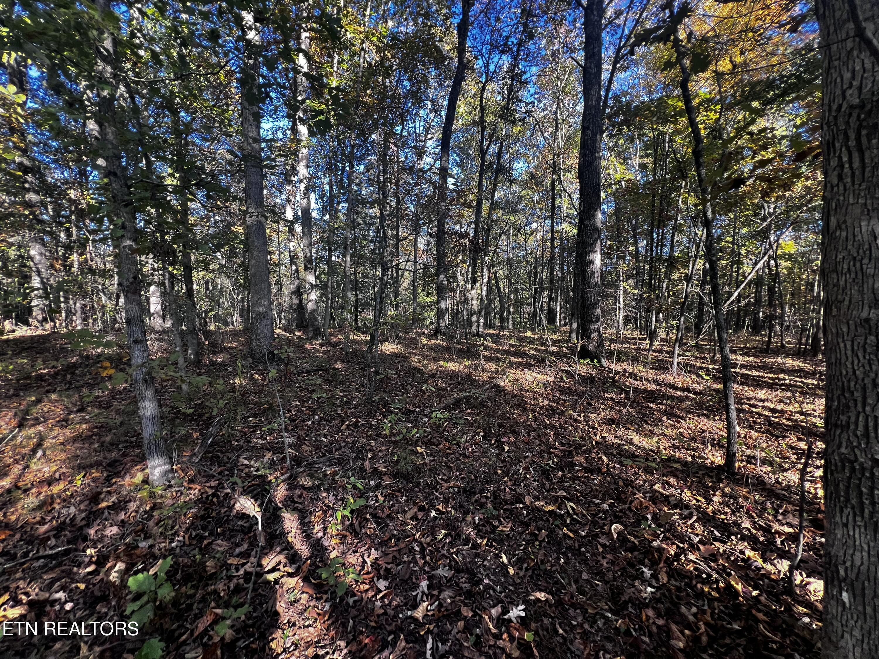 1320 Black Cloud Drive Property Photo 12