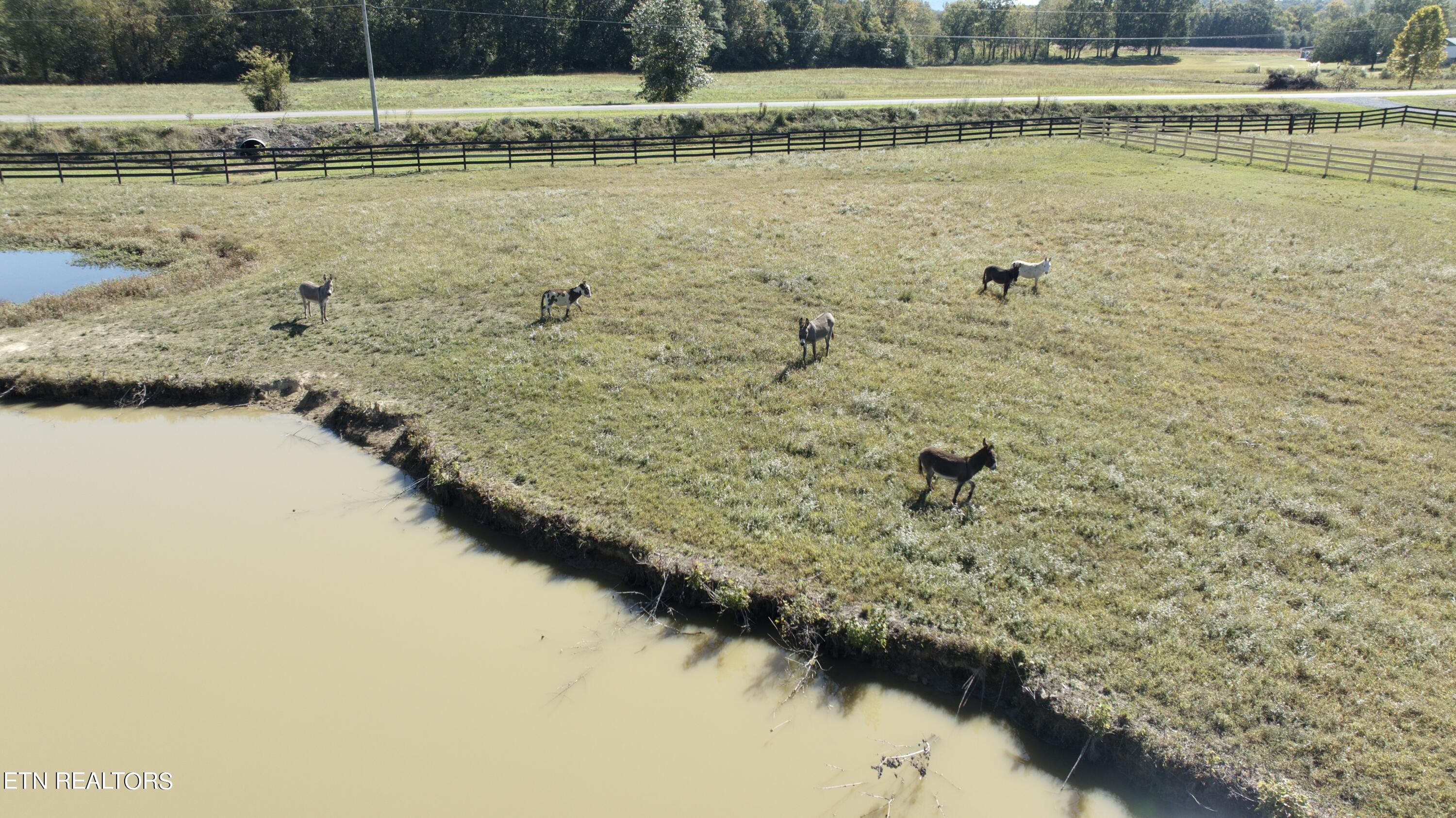 S River Edge Drive Property Photo 13