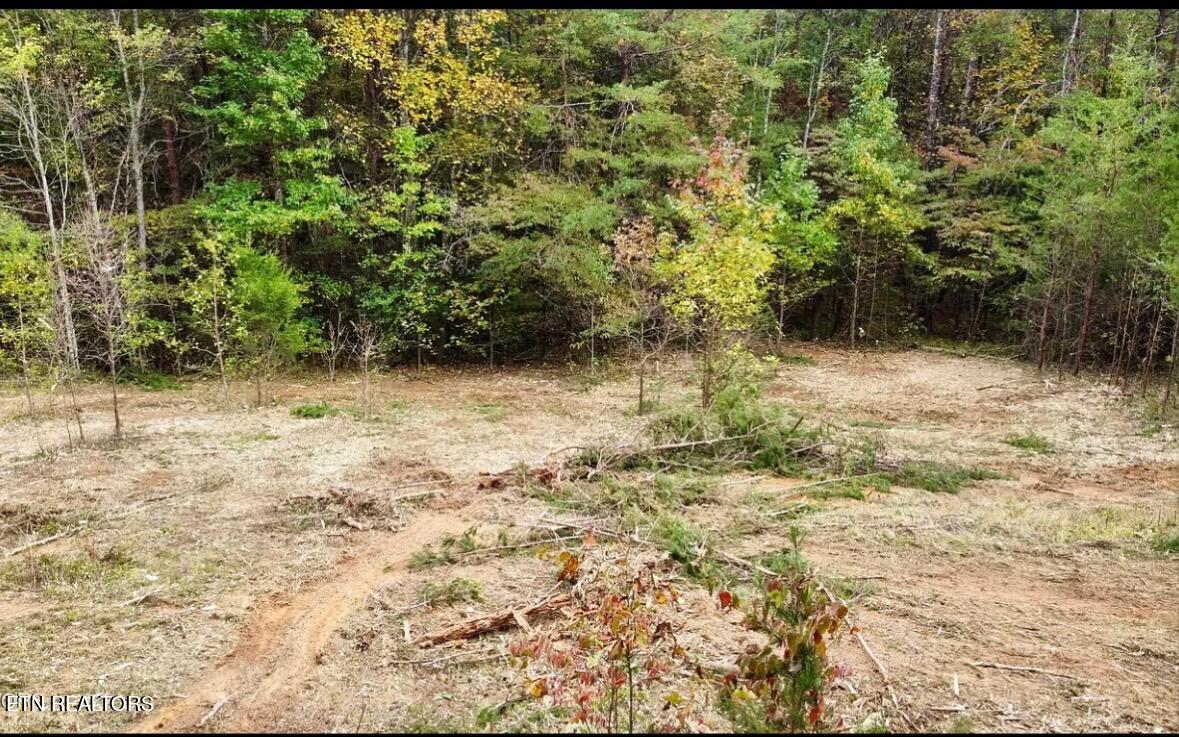 4540 6 Mile Rd Rd Property Photo 2