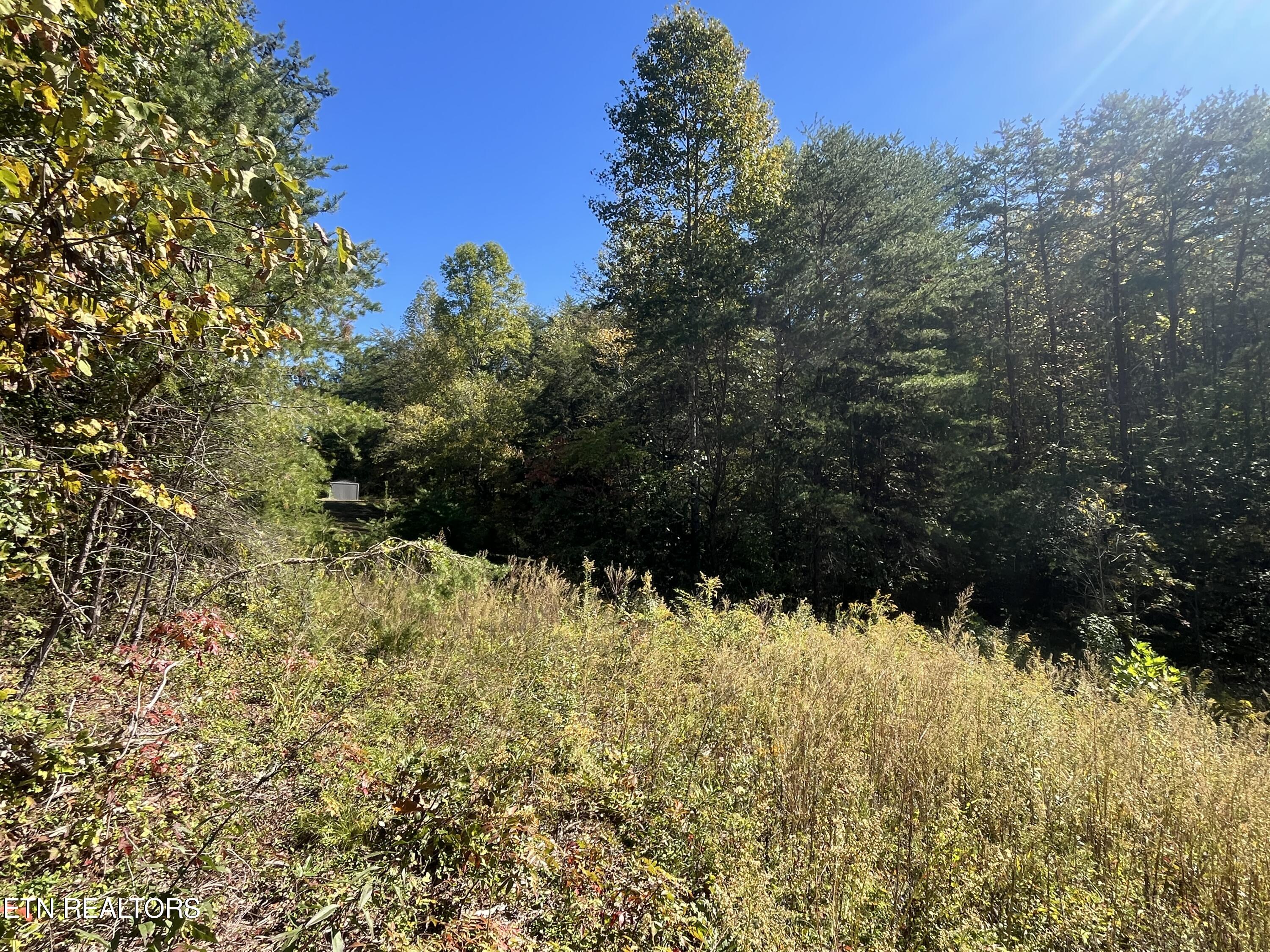 4540 6 Mile Rd Rd Property Photo 3