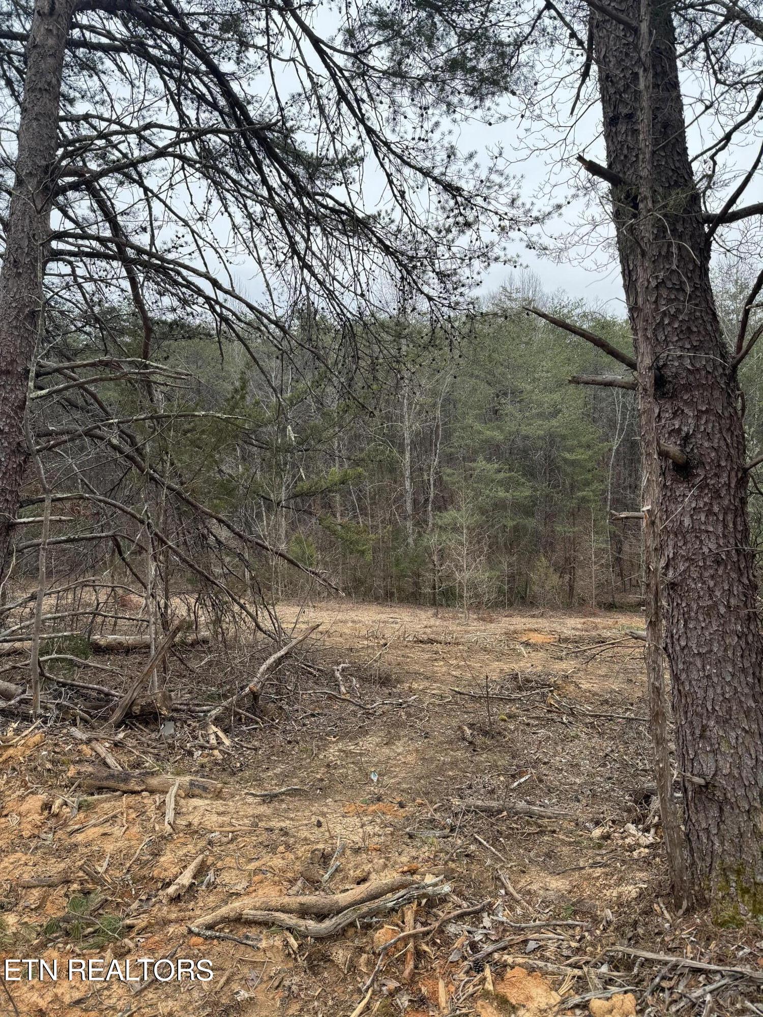 4540 6 Mile Rd Rd Property Photo 5