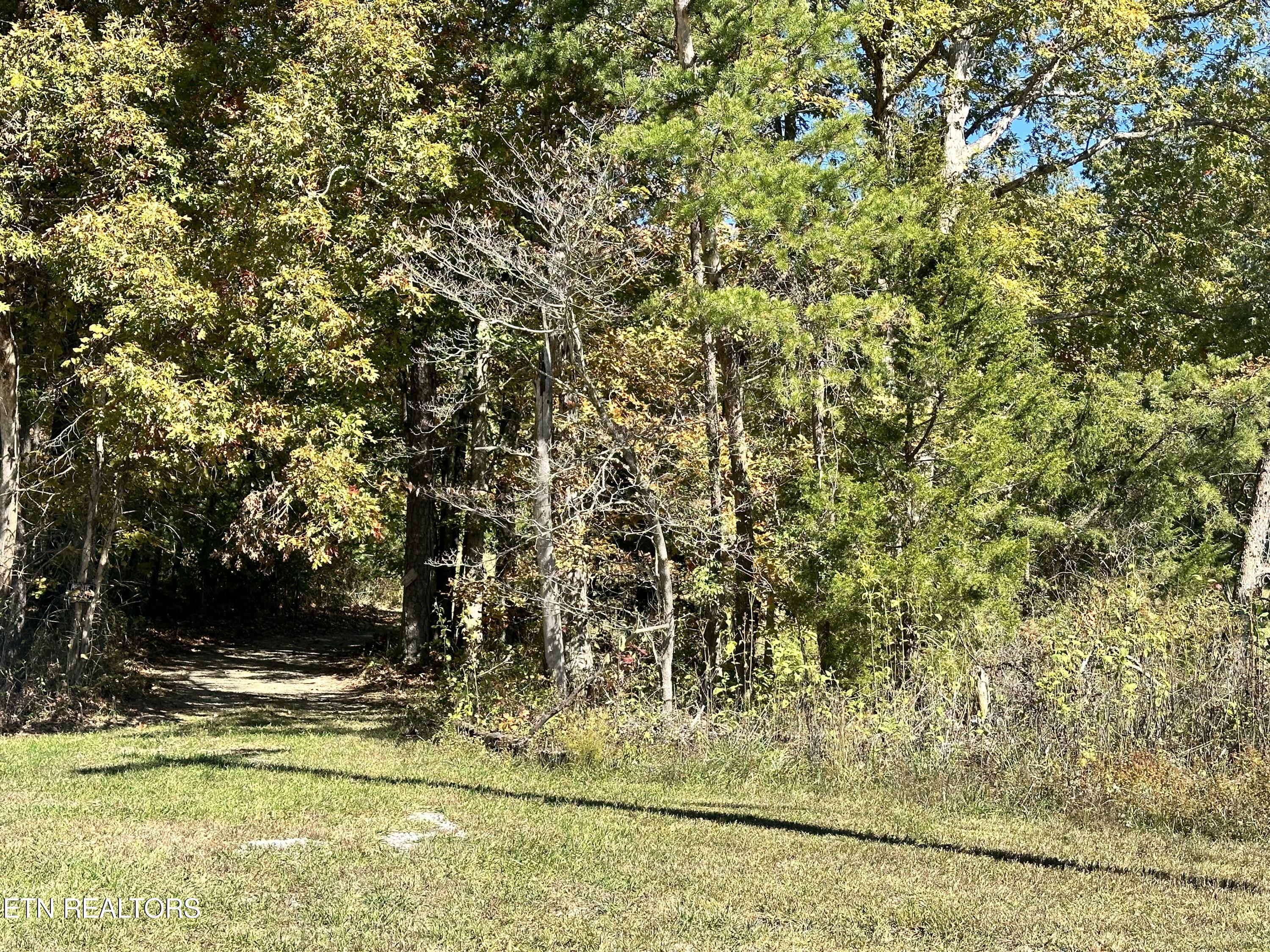 Leatherwood Ford Rd Property Photo 6