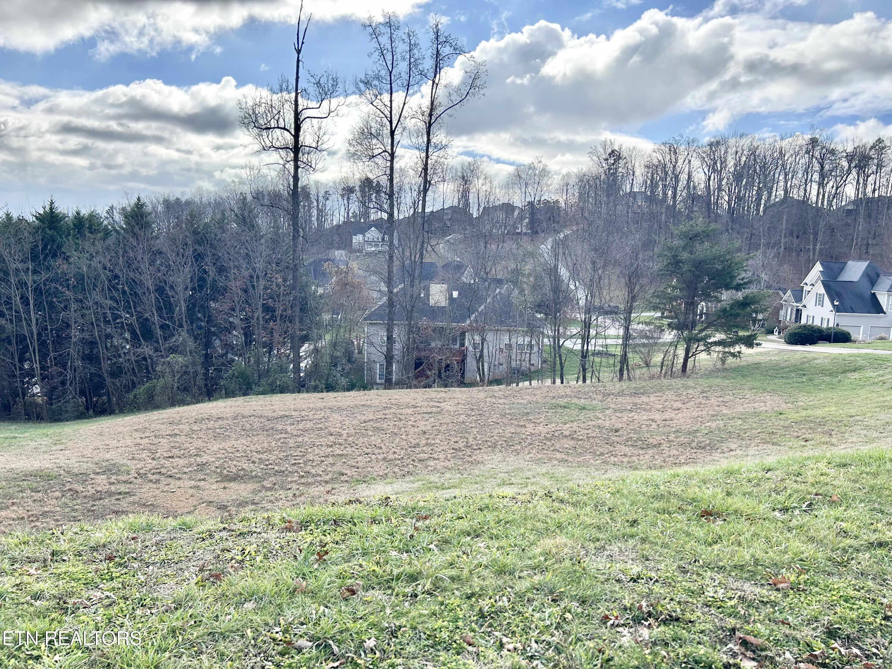 0 Laurel Ridge Lane Property Photo 3