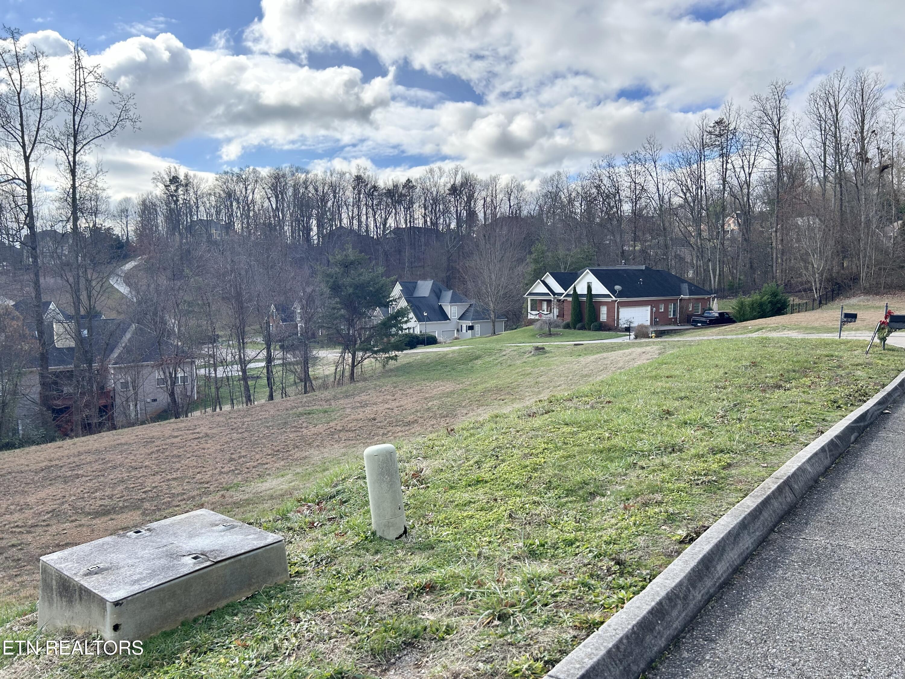 0 Laurel Ridge Lane Property Photo 4
